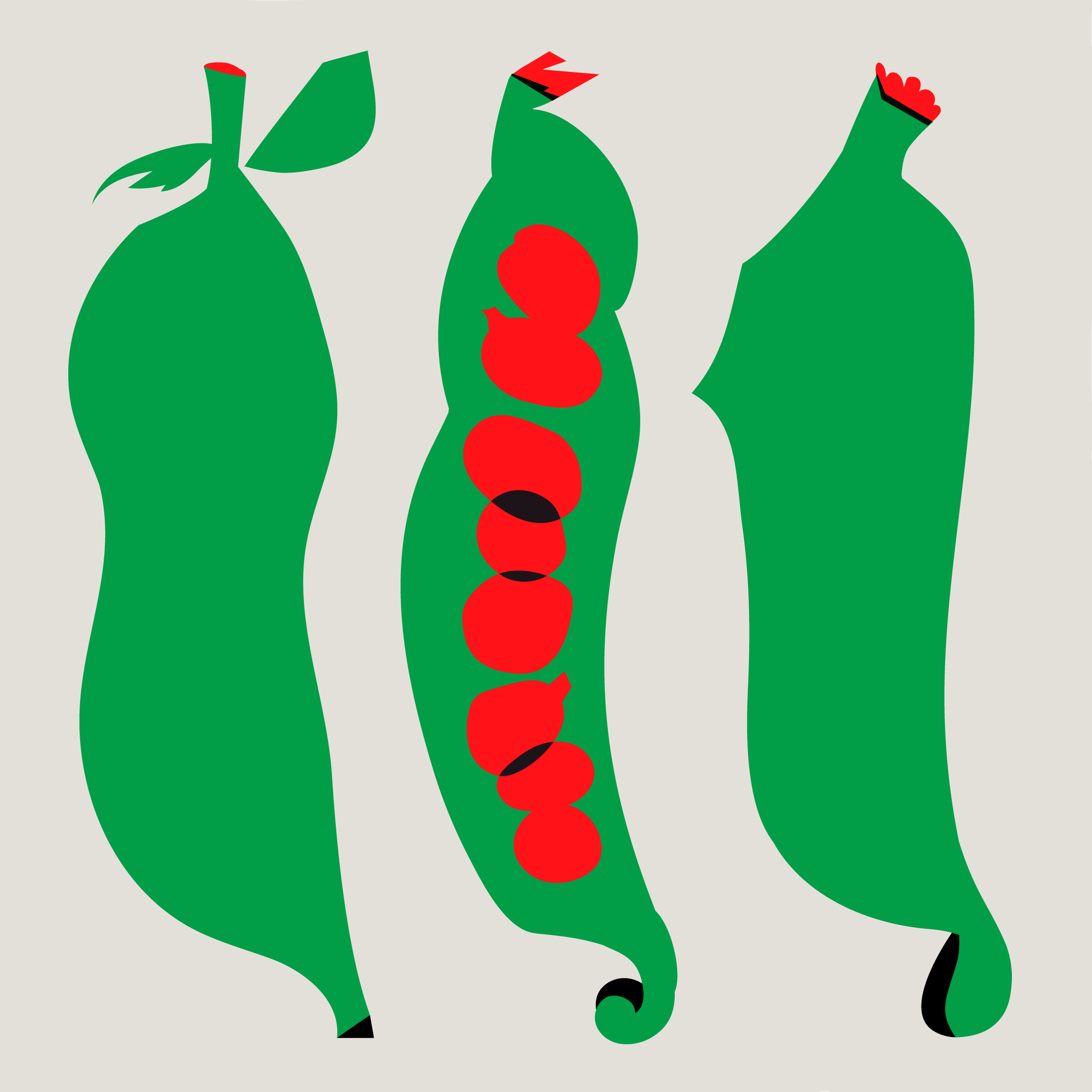 superseed illustrations : packaging