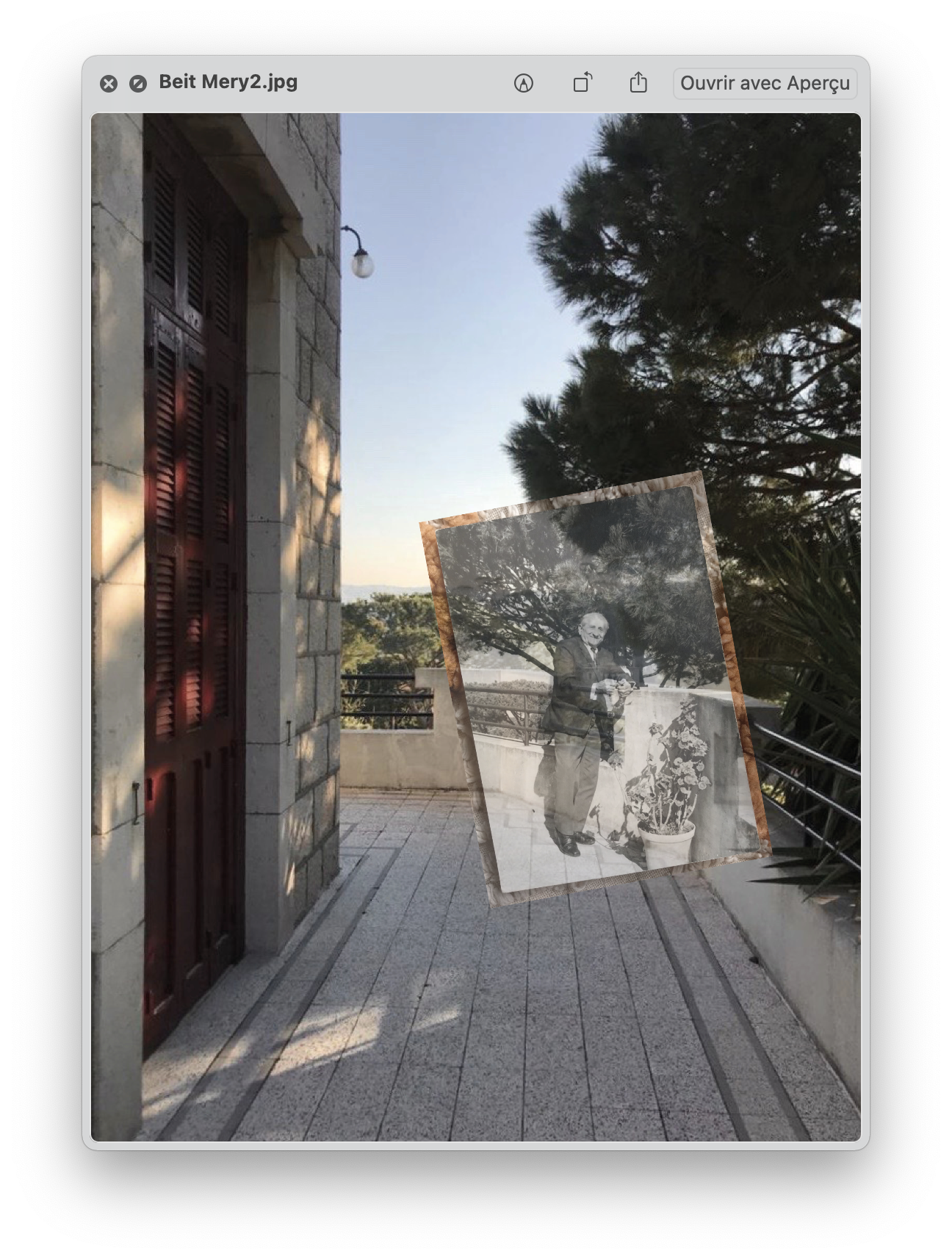 Pine nuts disappeared from kebbeh >