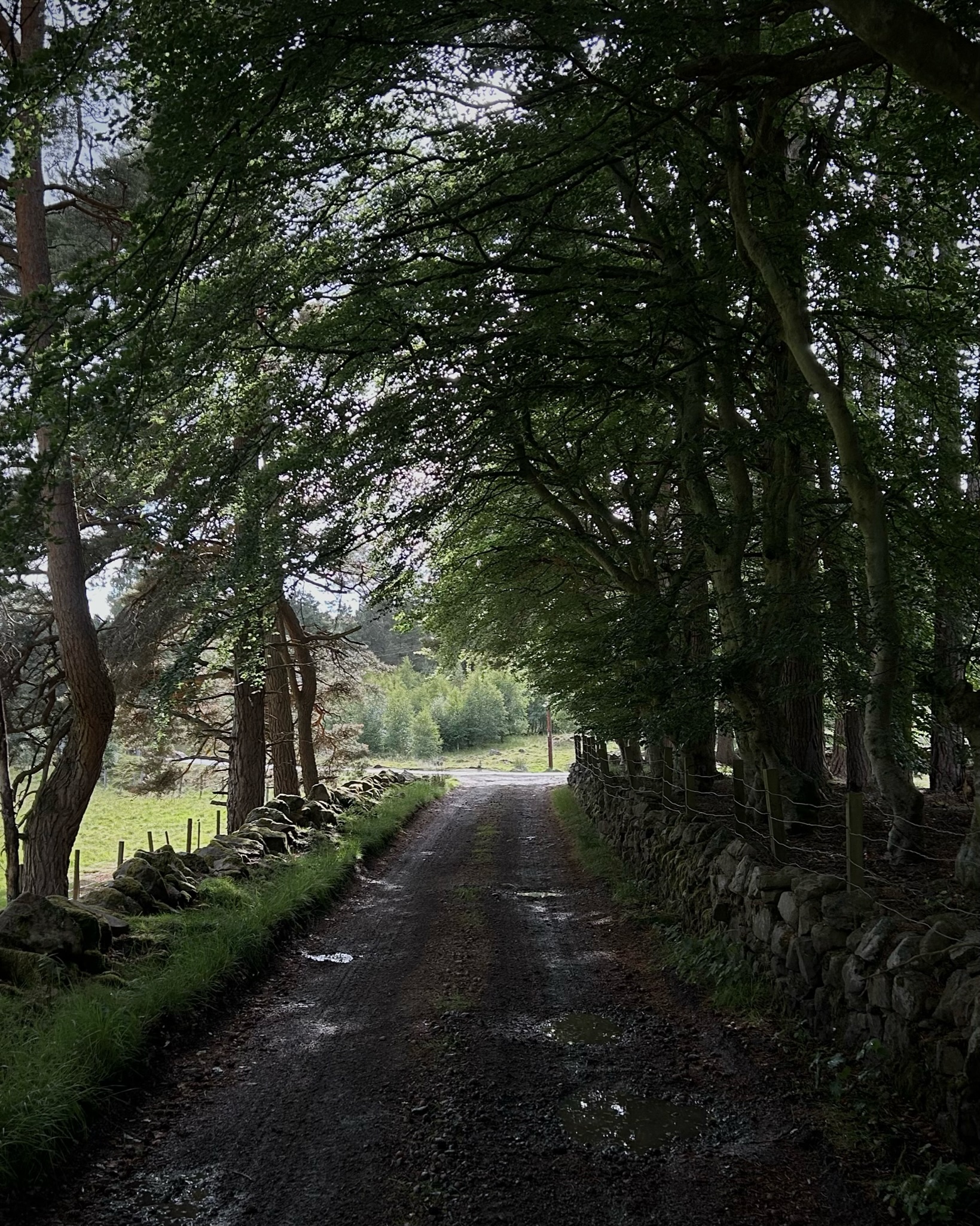The Old School (Ballater - UK)
