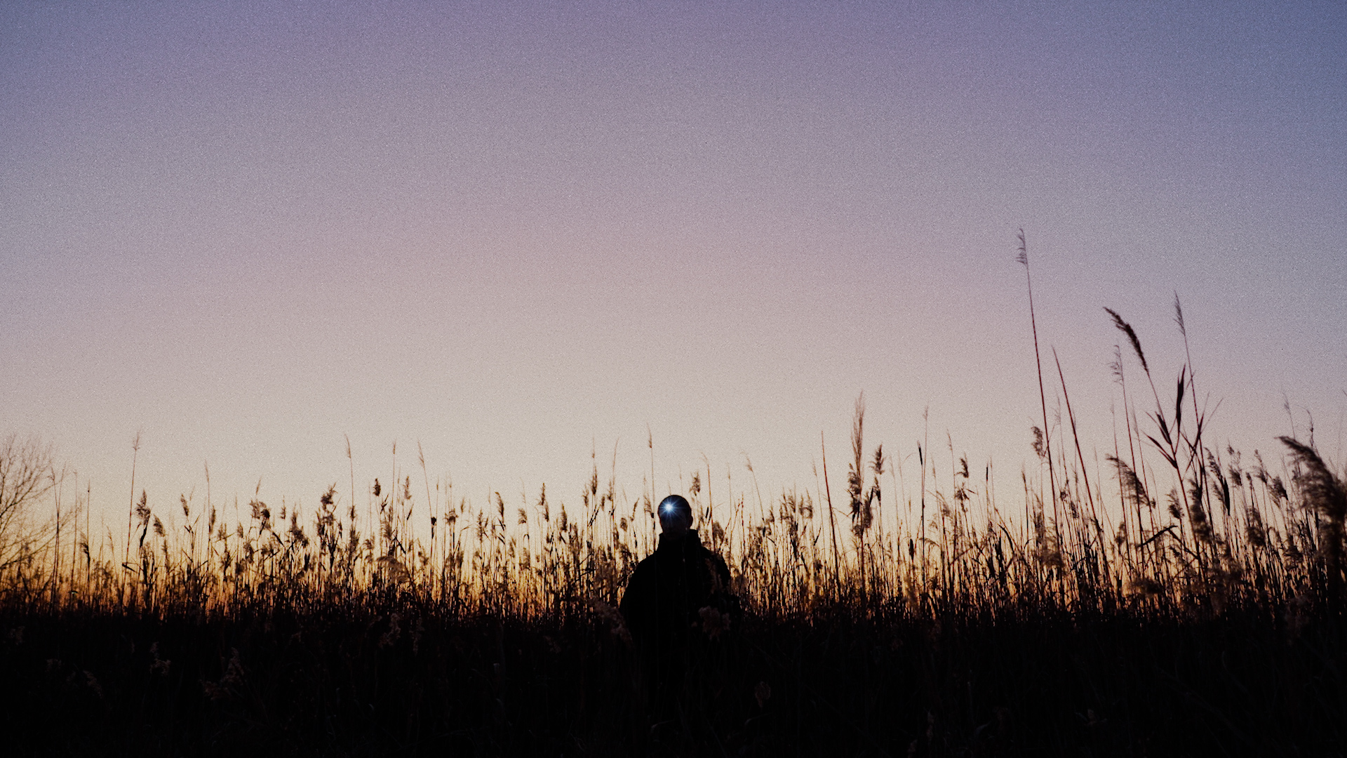 Iako - Intelligenza Artificiale