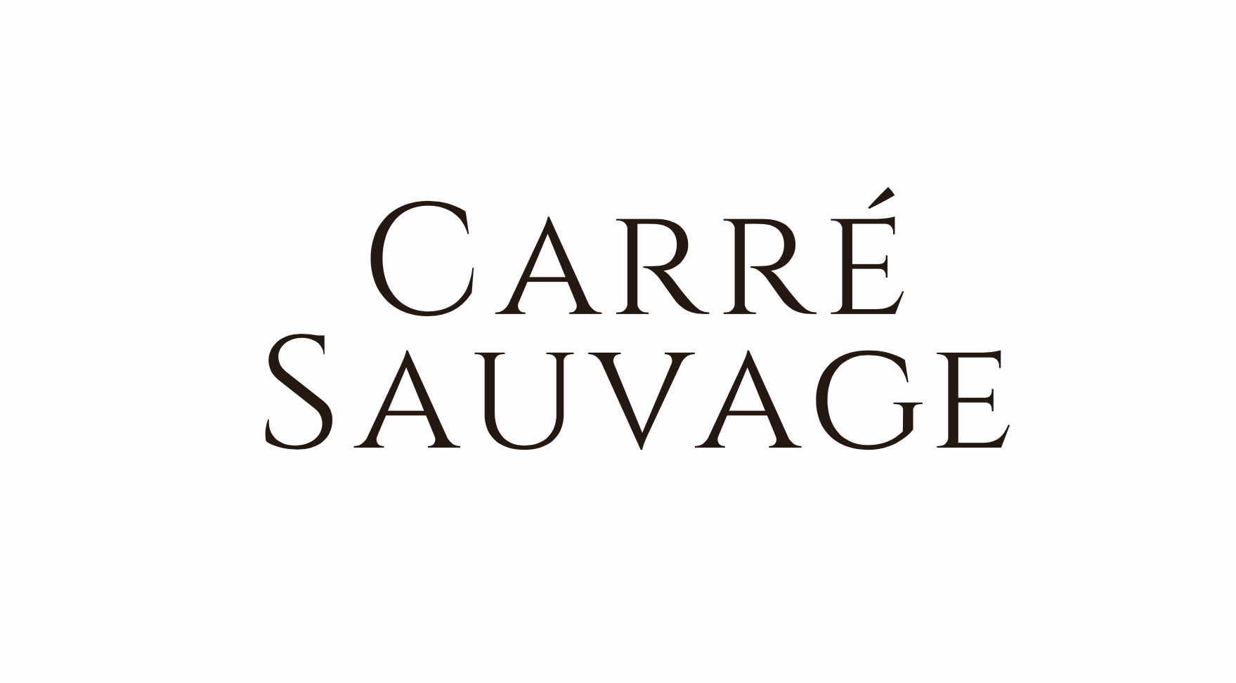 Carré Sauvage - Finalisation - Paul Alleyrat freelance designer