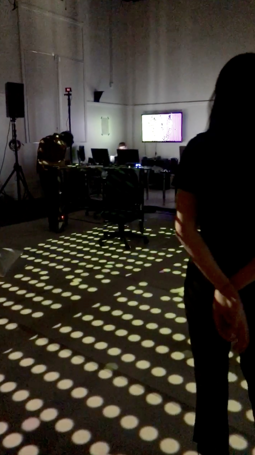 Projection Mapping
