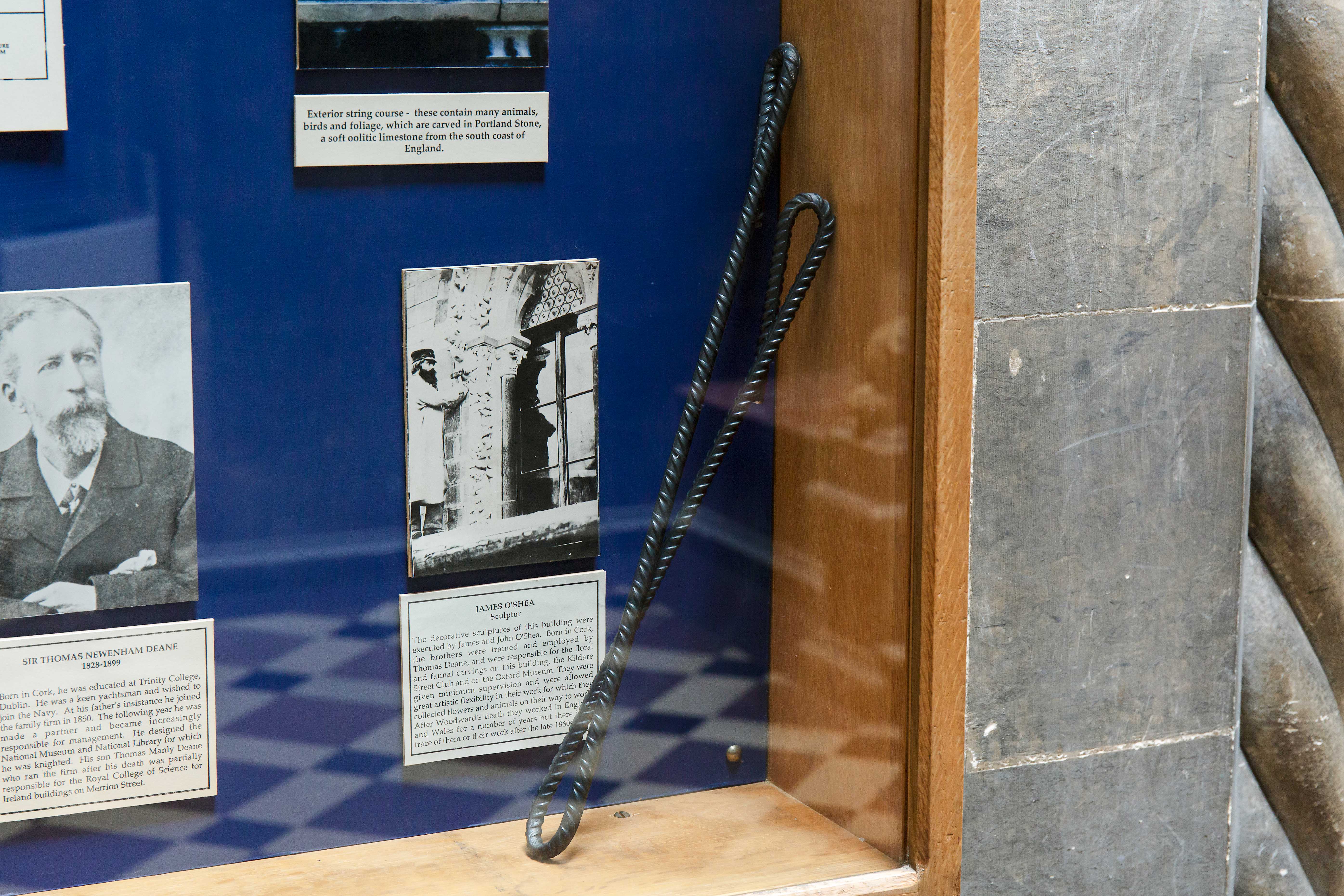 Glossaries for Forwardness, Museum Building, Trinity College Dublin, 2023, installation view. Photography by Kasia Kaminska.