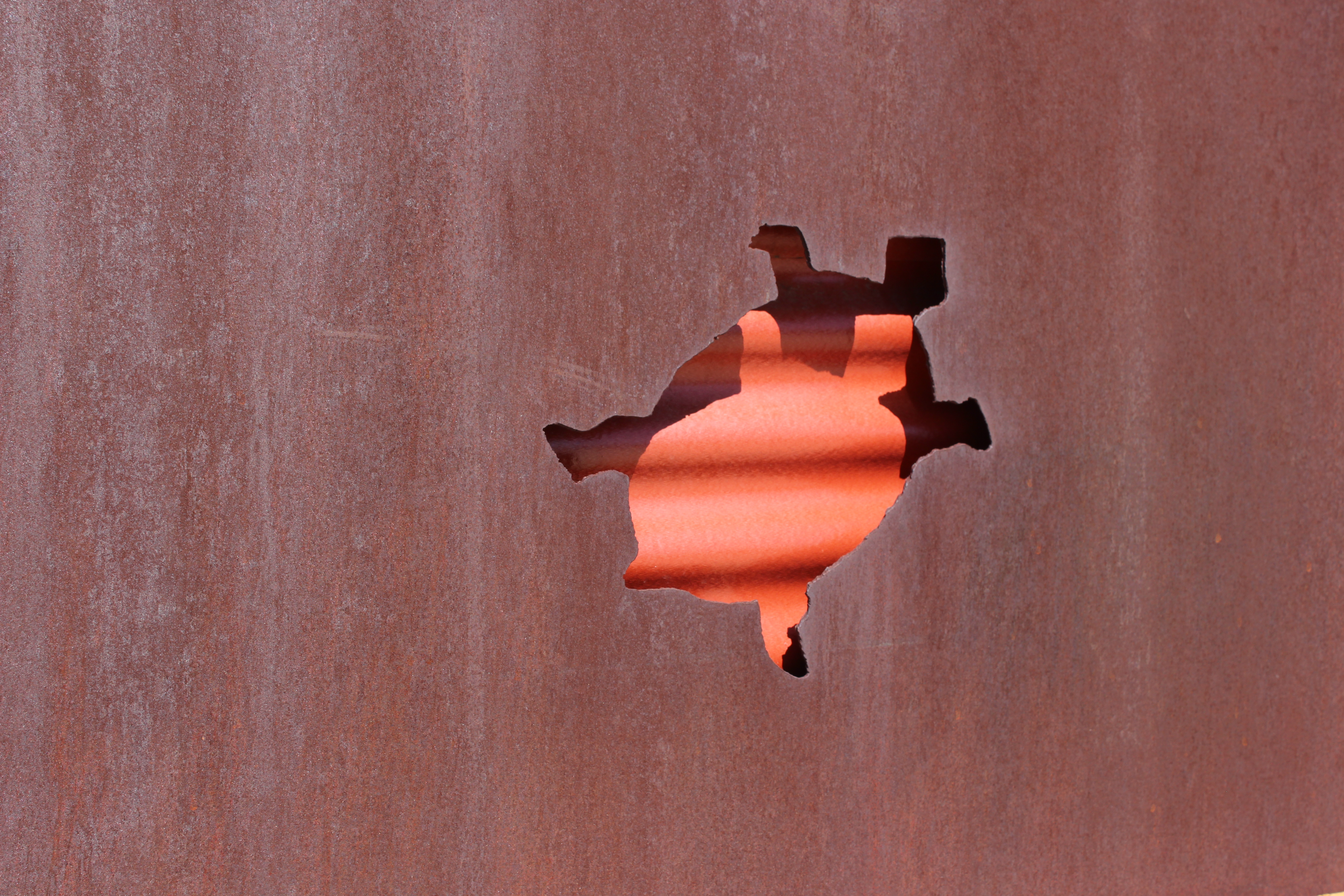 Rusted metal sheet with tortoise cutout, nice shadow play