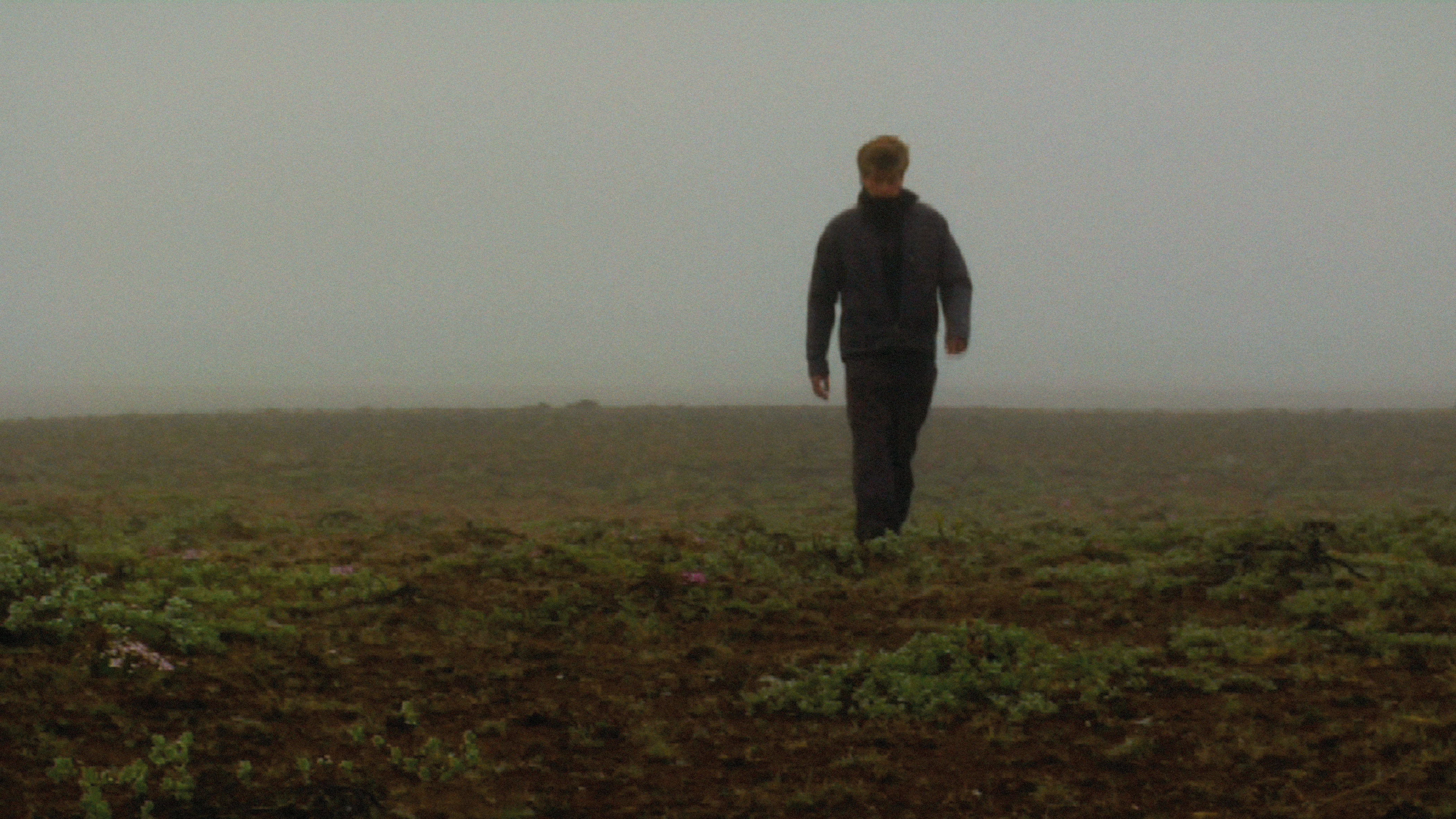 Recurrence Relation 1, 2008. Duration: 5:06 minutes. (still frame)