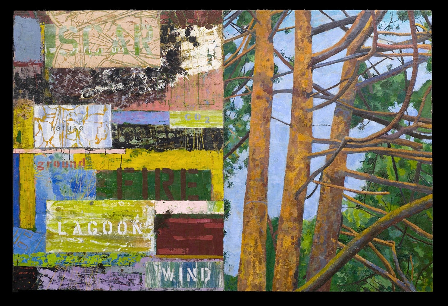 Lagoon. 2010. encaustic & collage on panel. 44" X 66" (Priv. Coll.)