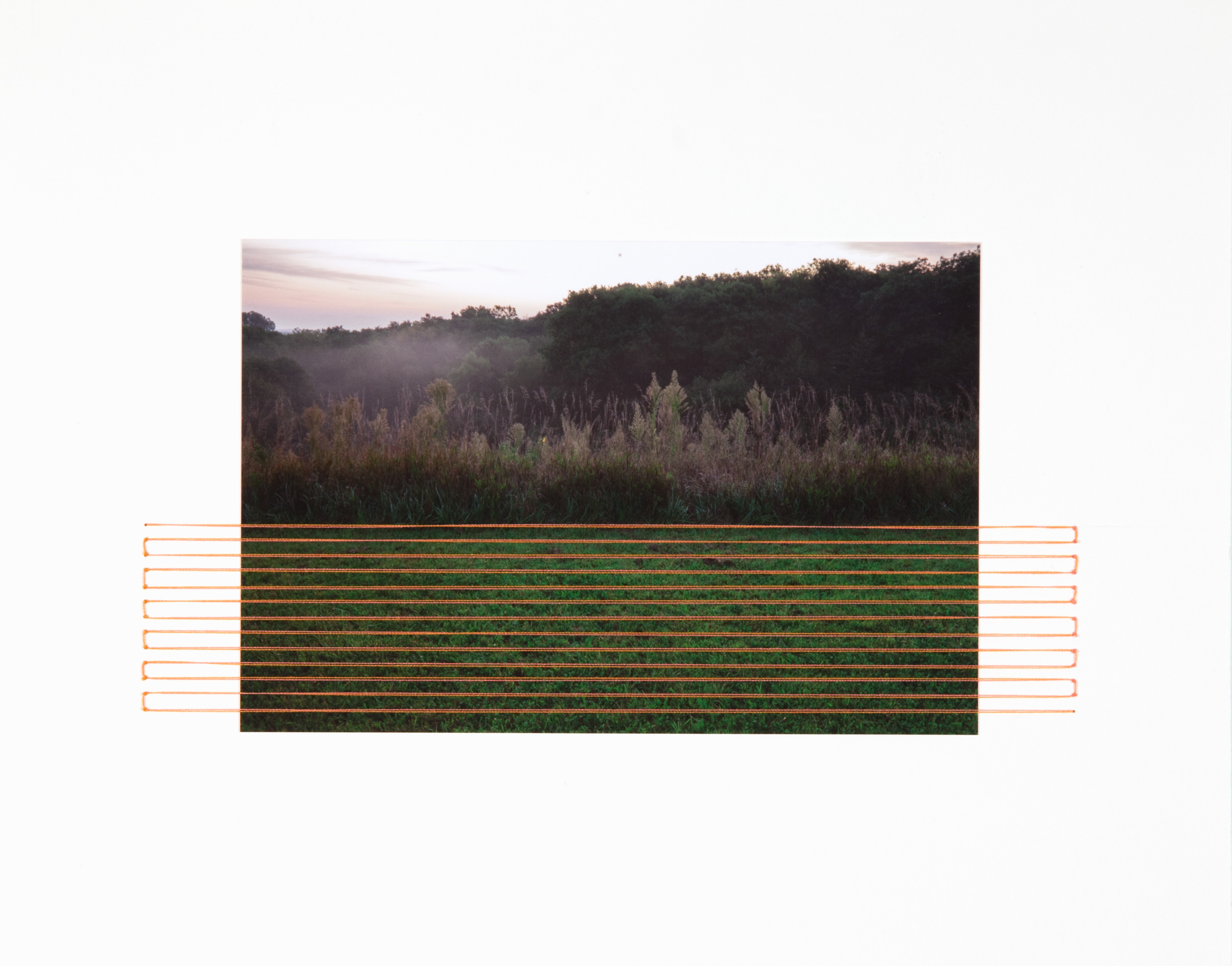 Field Edging #19, Viking Lake State Park, Stanton, IA, 2019.