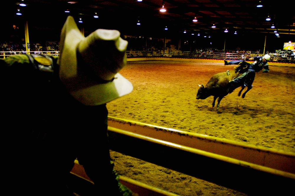 Rodeo 2008