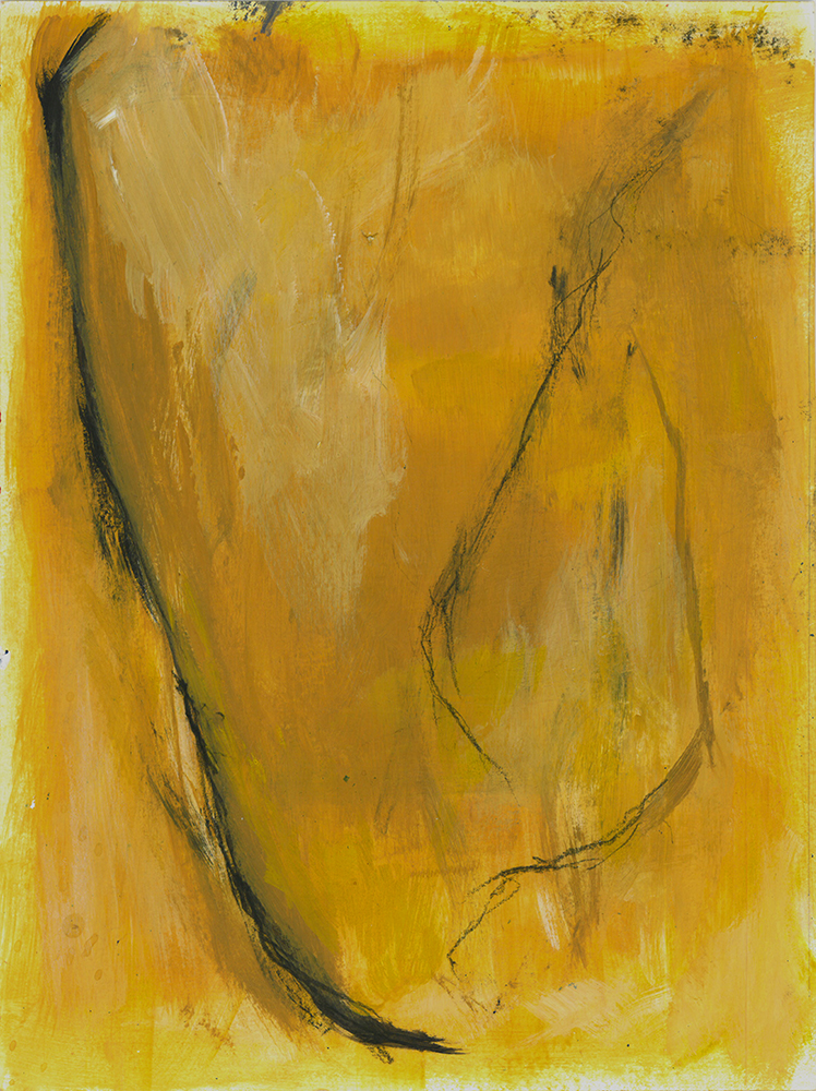 Mountain View, Charcoal and Acrylic on Paper, 2016