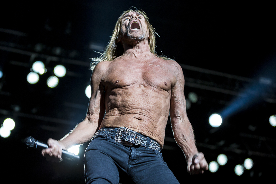 Iggy Pop, 2016