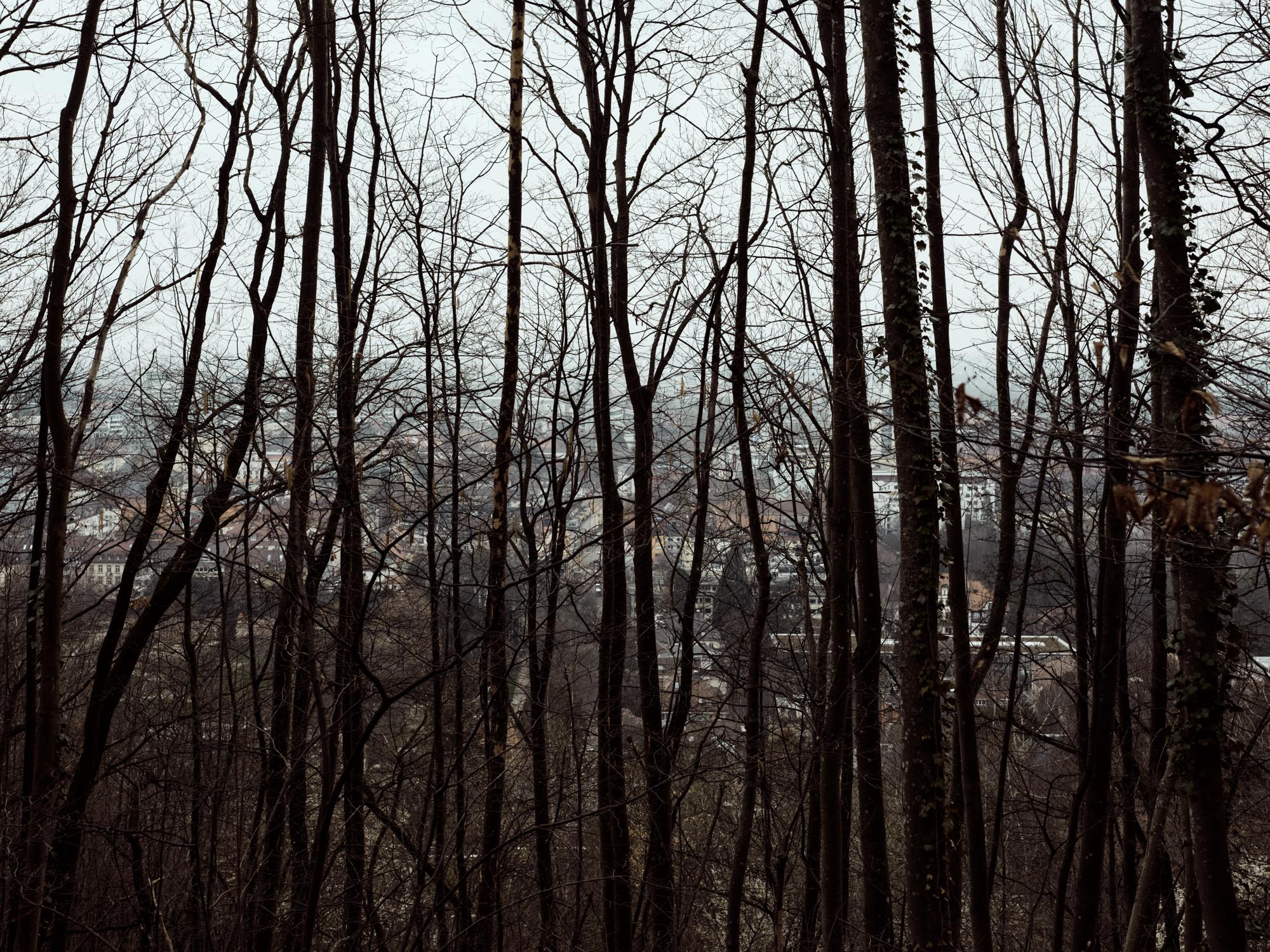 Freiburg im Breisgrau, Deutschland