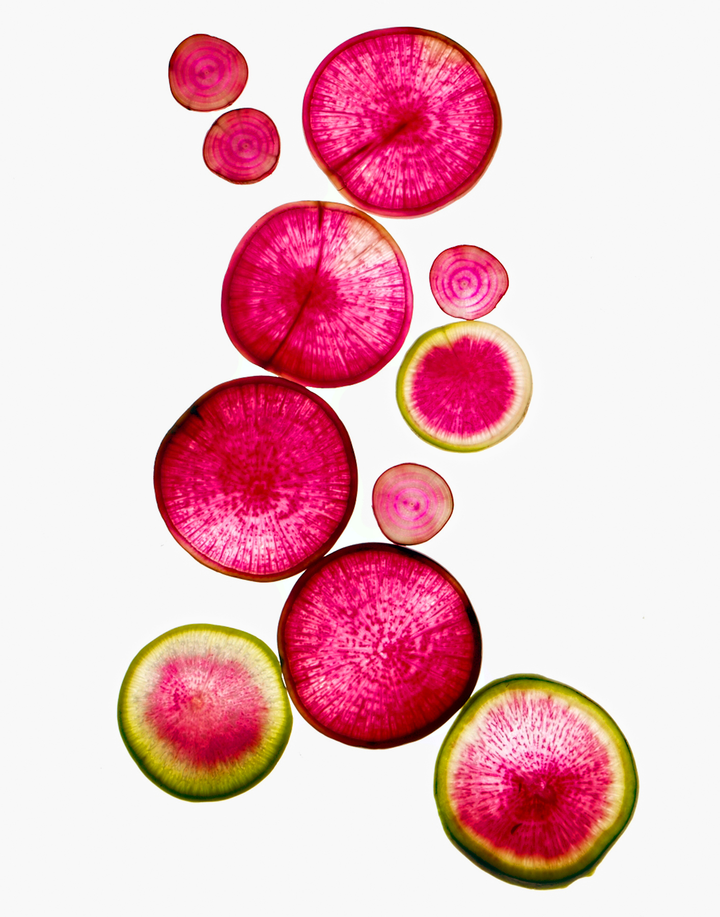 Bloomingdales, 20111/2