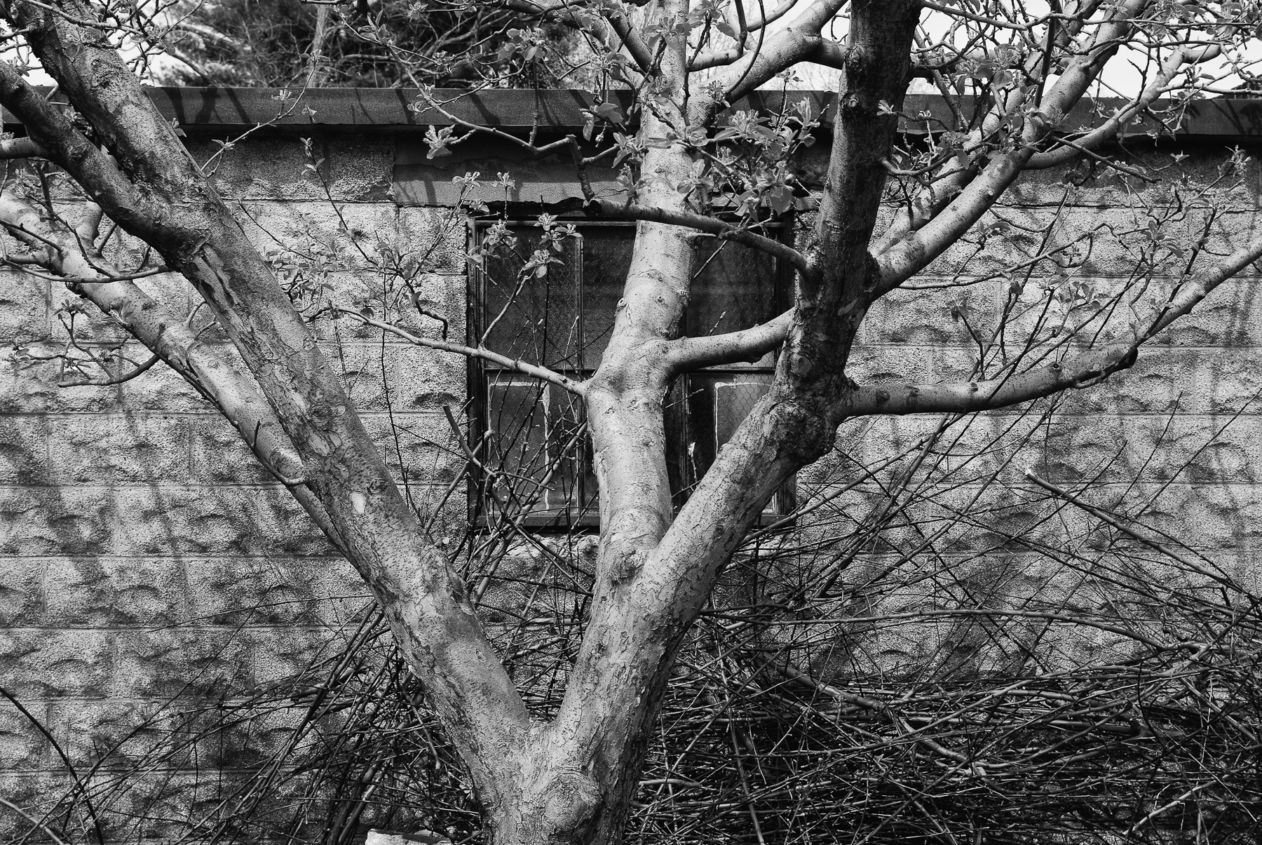 Watertown, Massachusetts