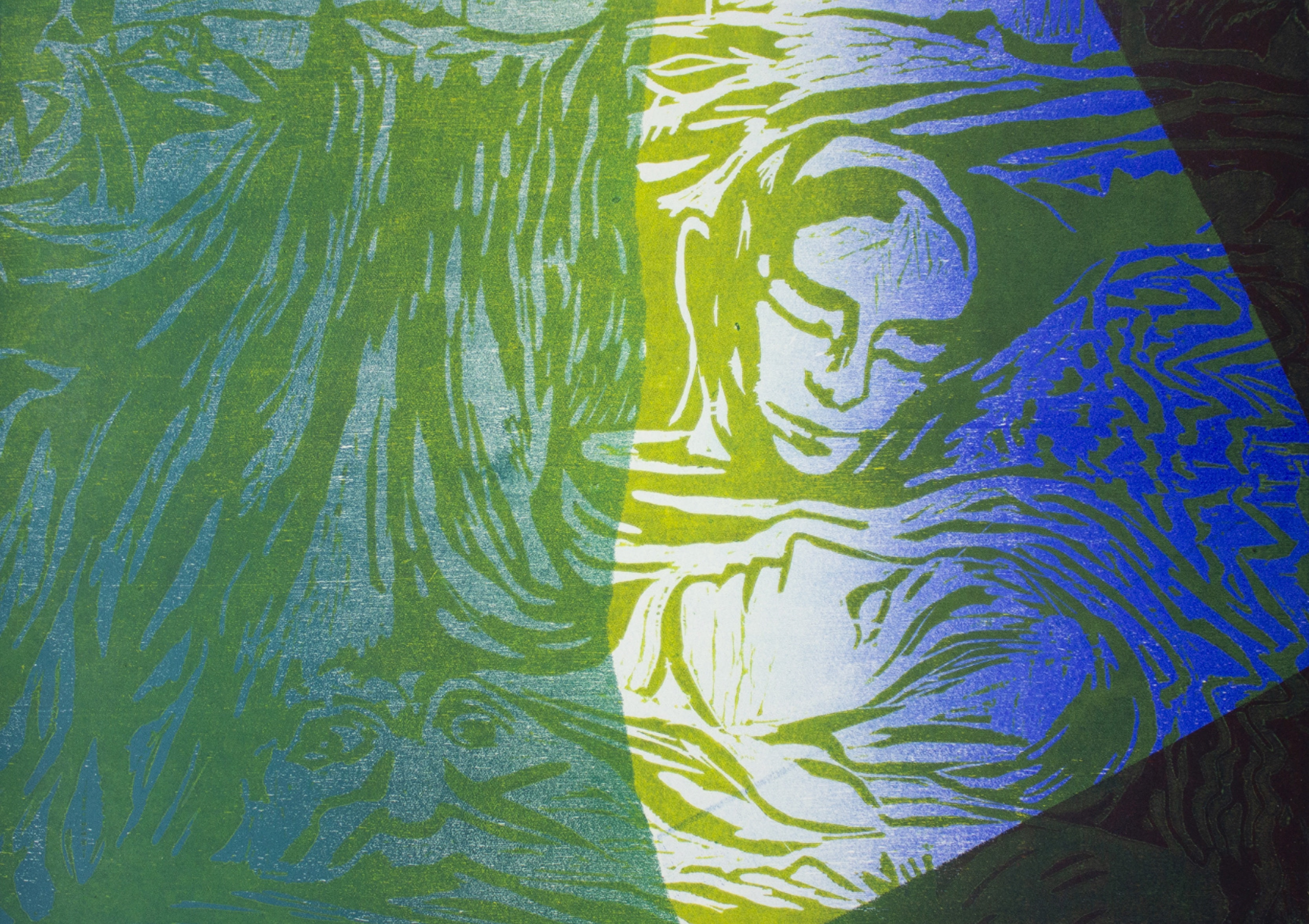 'I followed fast, but faster he did fly',  2022. Woodcut on paper, 42x30cm