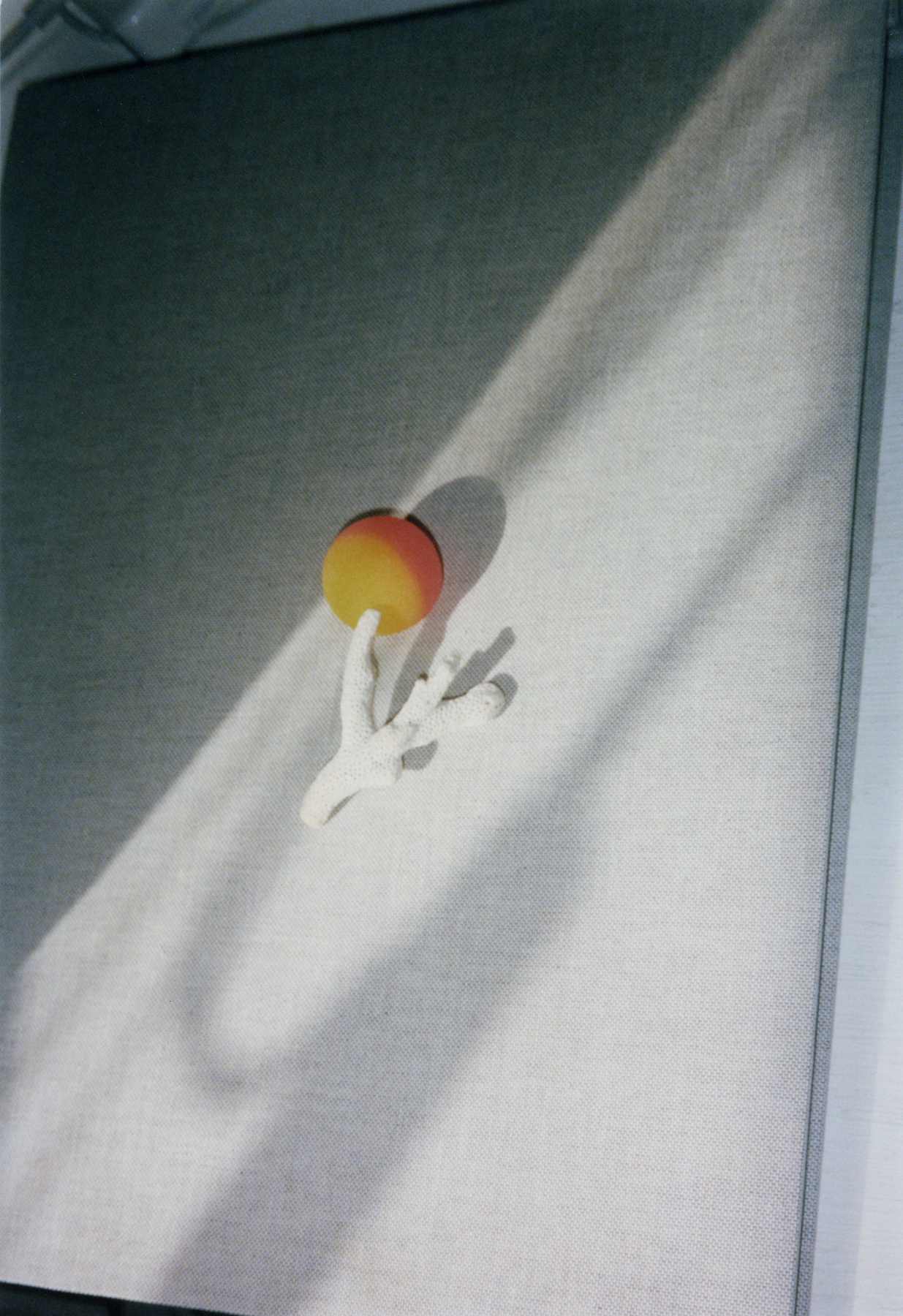 Chance Encounters. (5/8)