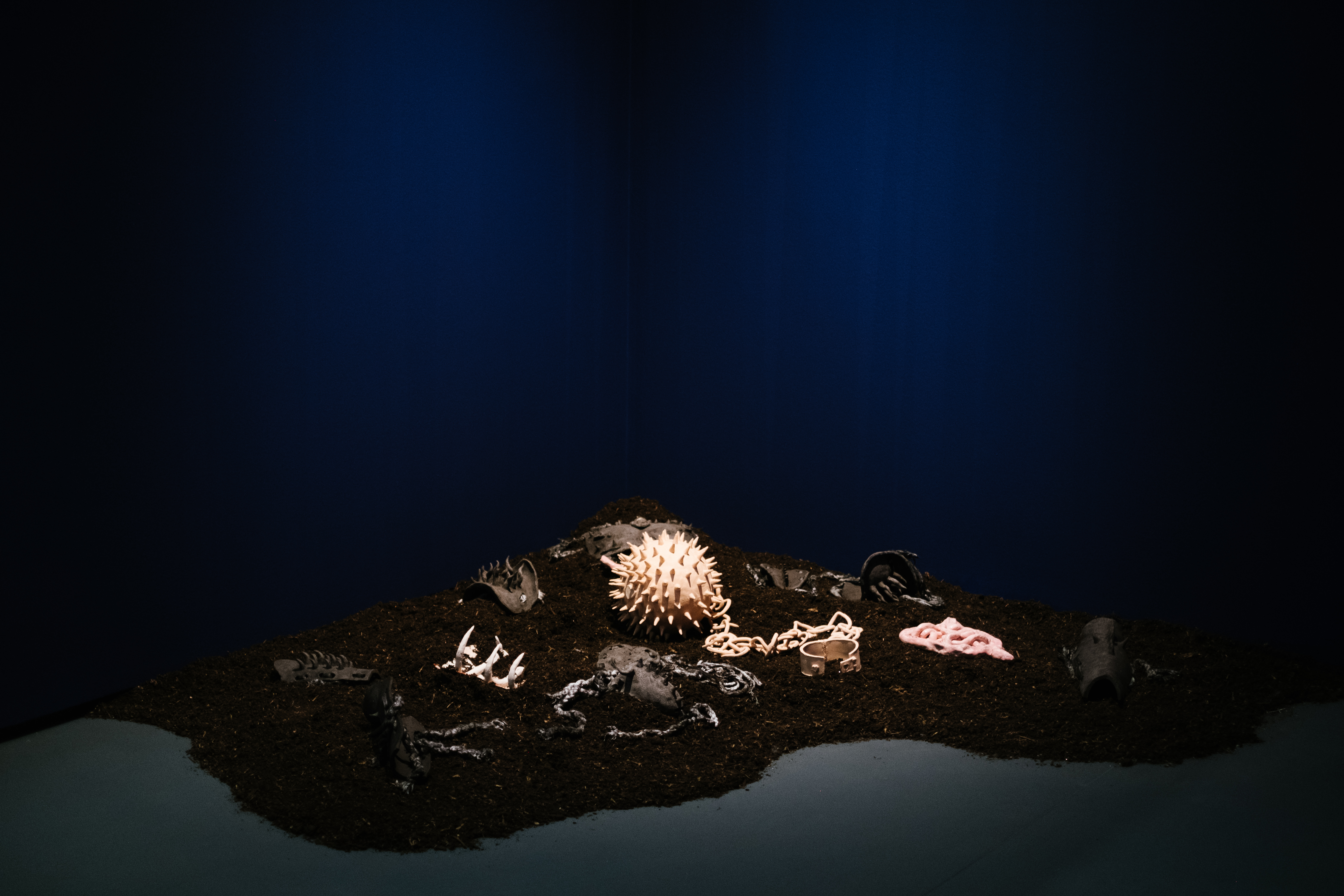 Panacea for Chaos, 2023