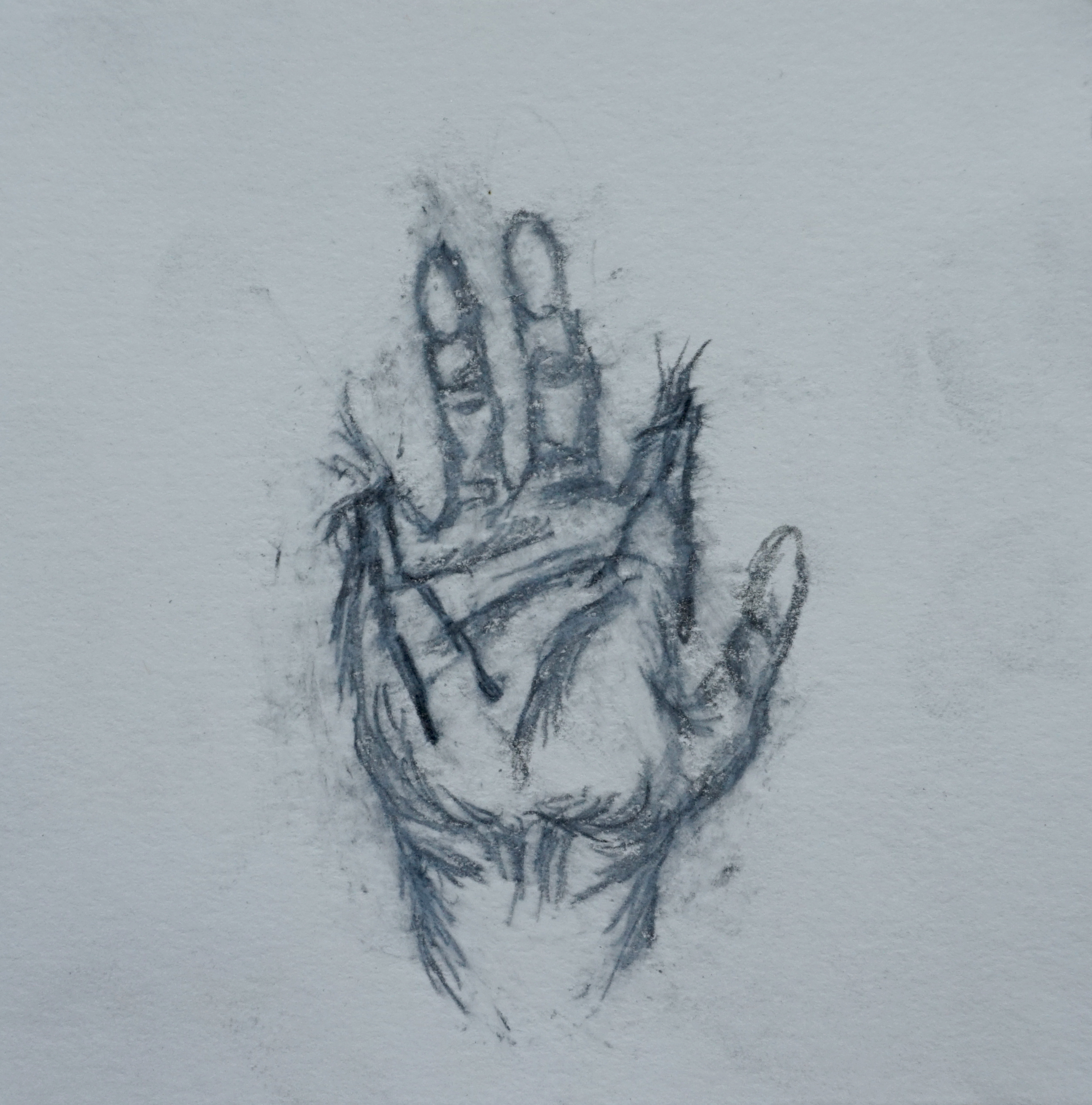 14-1. April 15th, 2016. Dream record drawing / Keywords -  index finger and pinky finger