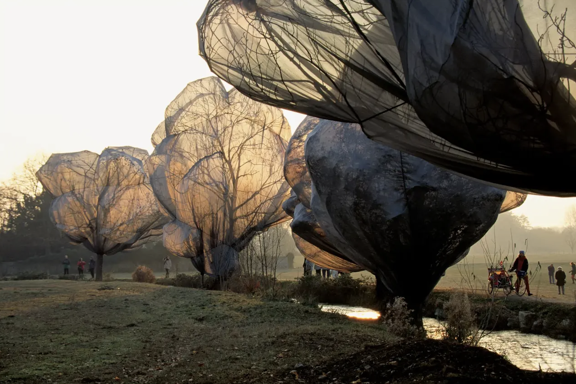 Photo Credit: Wrapped Trees, Christo and Jeanne-Claude, 1997-98