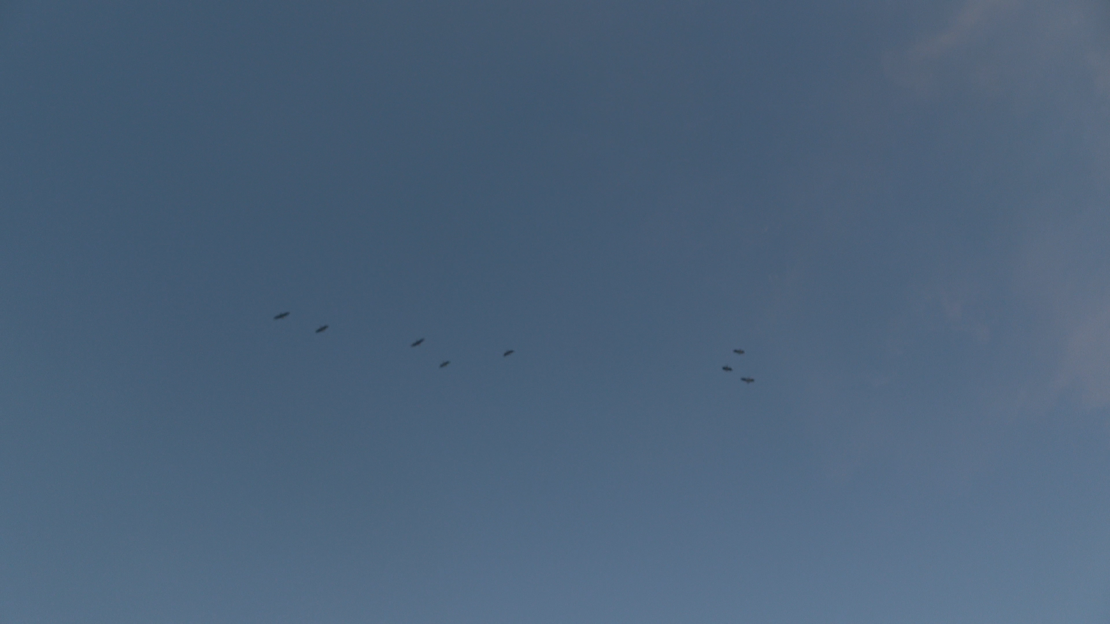 still uit de film "ochtendgloren", een filmexperiment over onbezonnenheid en ochtendstilte -zomer 2023