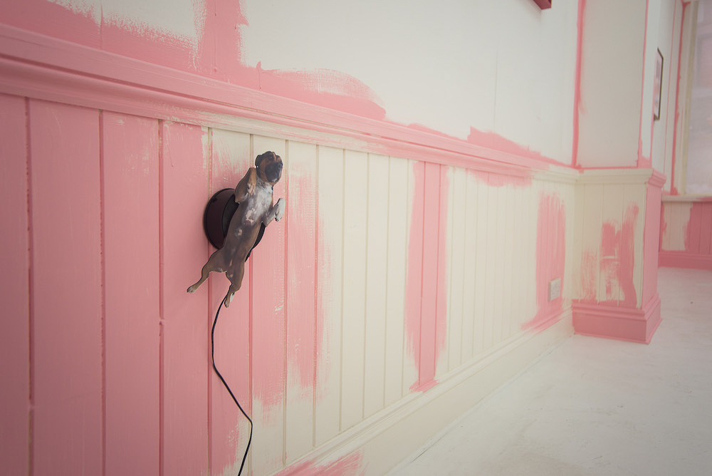 Installation view Dominic From Luton, ‘English Man Going Insane’ (2018), STOREFRONT, Luton, UK, Credit, Aleksandra Warchol