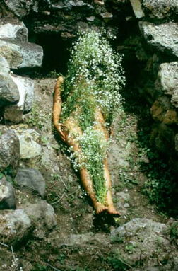 FIG. 1 – Ana Mendieta, Flowers on Body, 1973. Color photograph of earth-body work with flowers, executed at El Yagul, Mexico. Estate of Ana Mendieta and Galerie Lelong, New York.