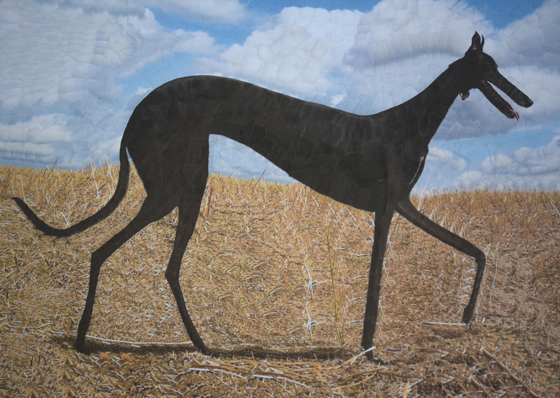 Izzy, 2019, 11.6 x 8.2 inches