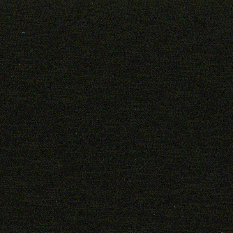 Editorial Animation for The Economist