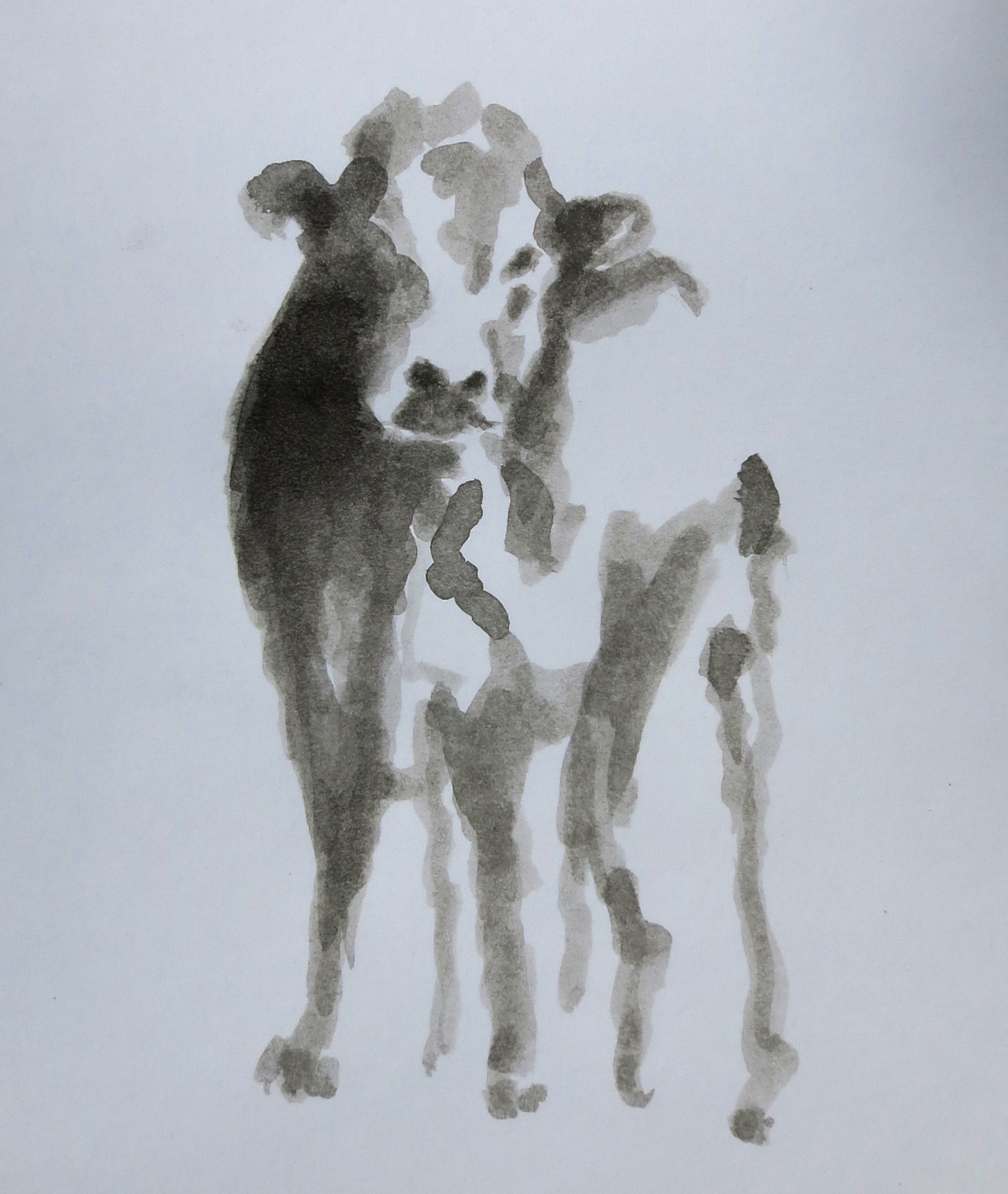  Ink on paper &ndash; 11&rdquo; x 8&rdquo; 