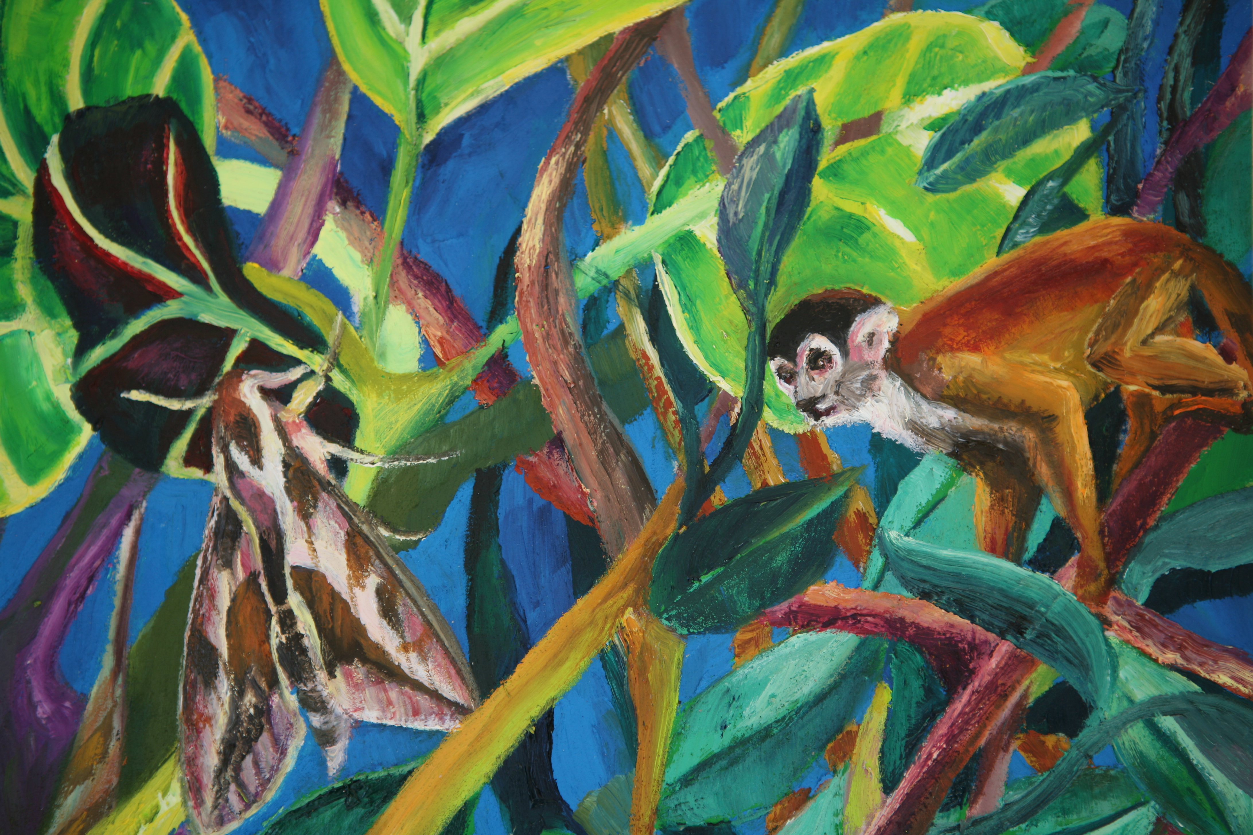 Zoom de La Tercera Edat