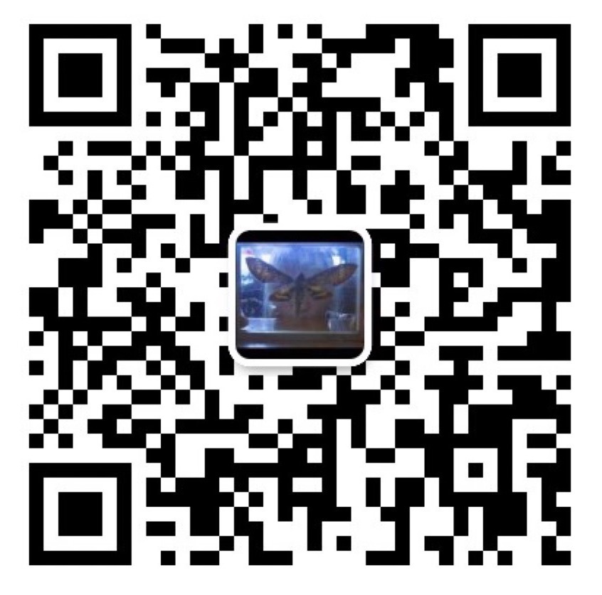 Internet Shell (2015)