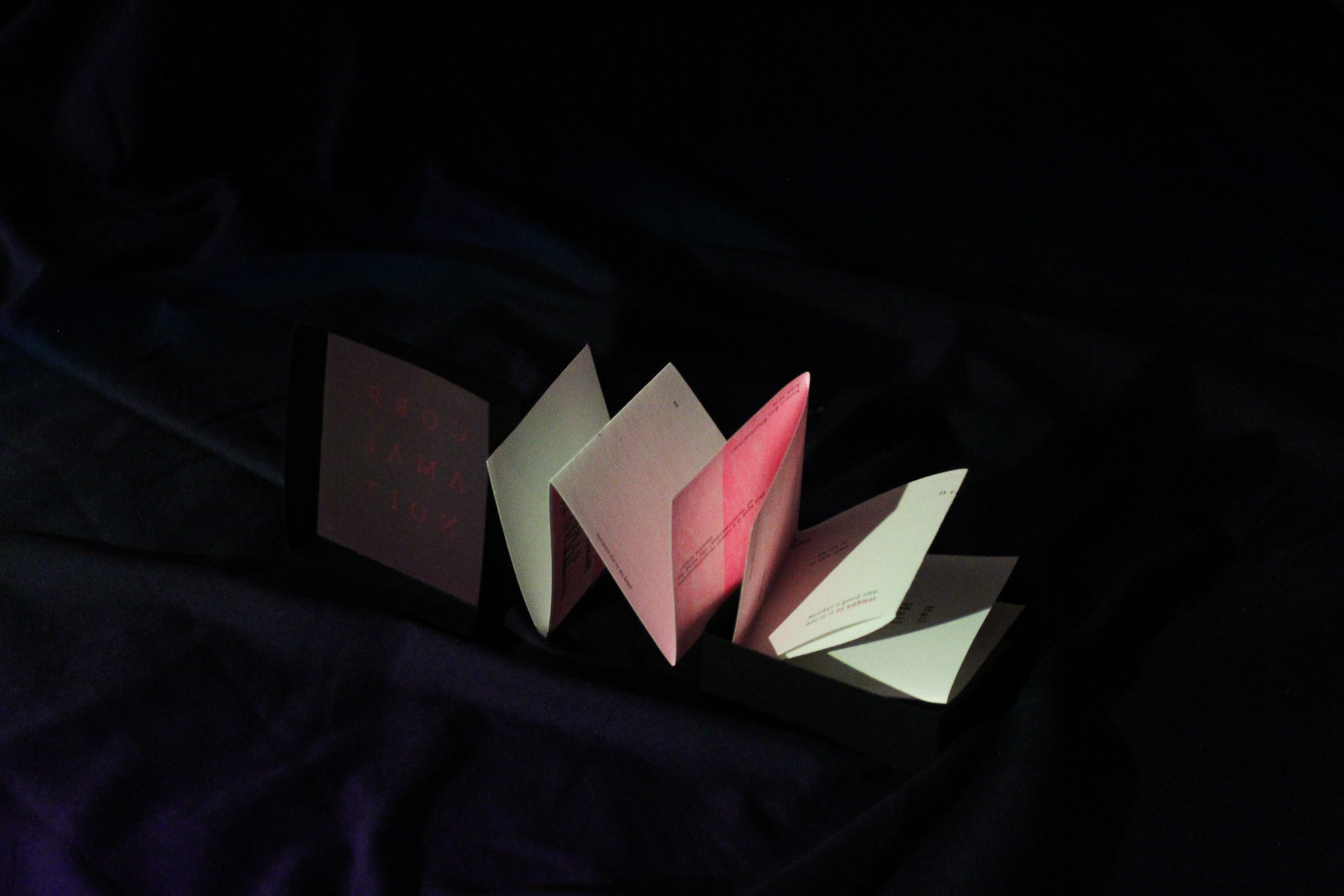 PROCLAMATION - SELF PUBLICATION