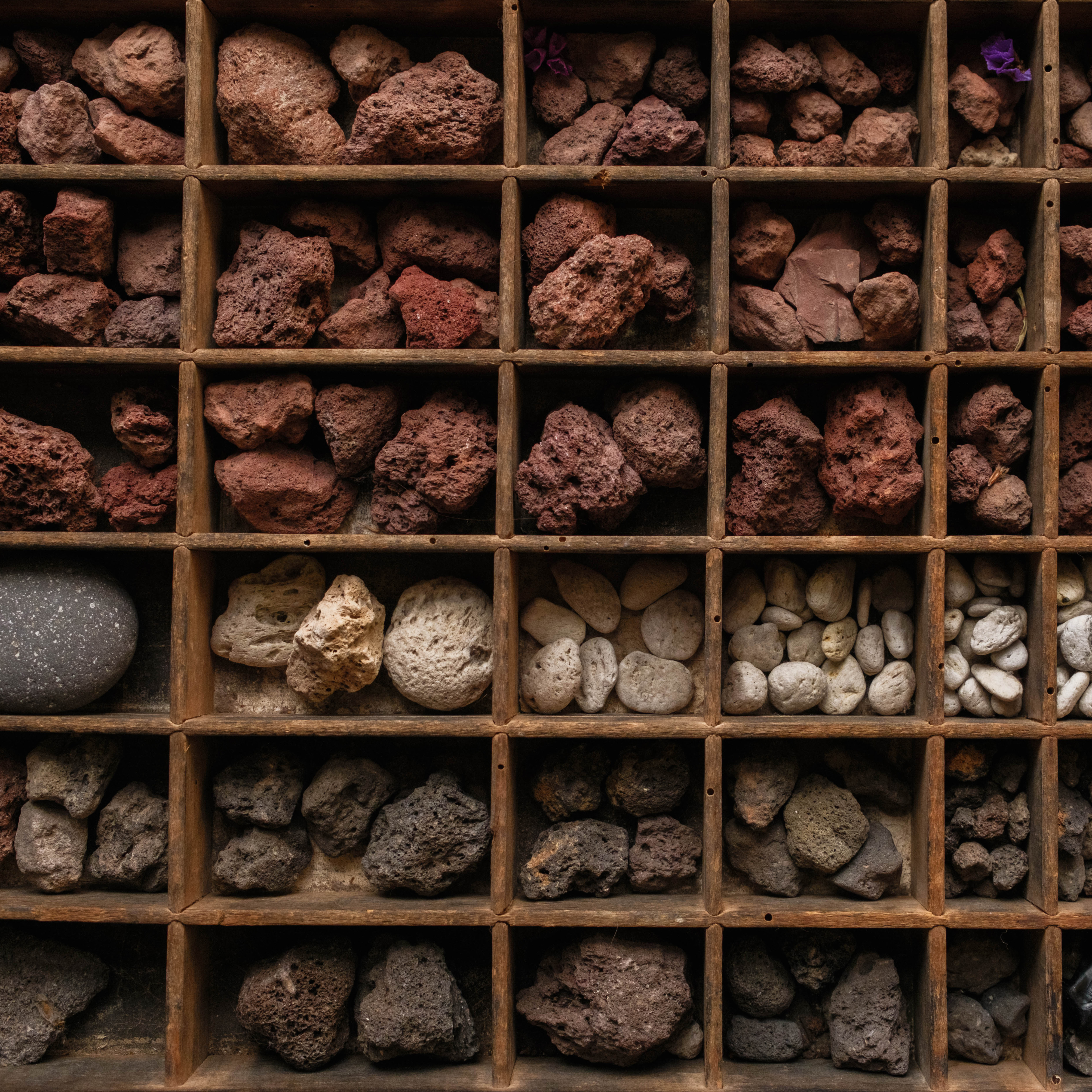 Katerina-Shelagh Boucoyannis