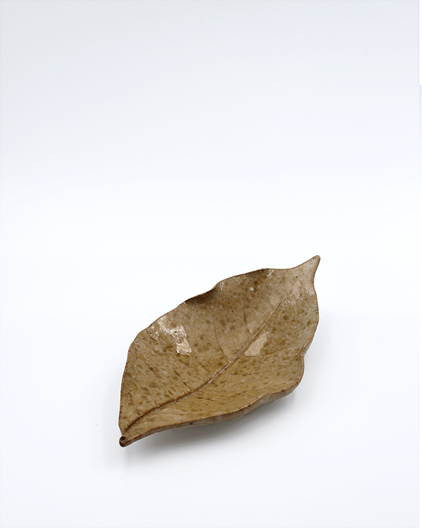 Spotted Brown Leaf$30.00