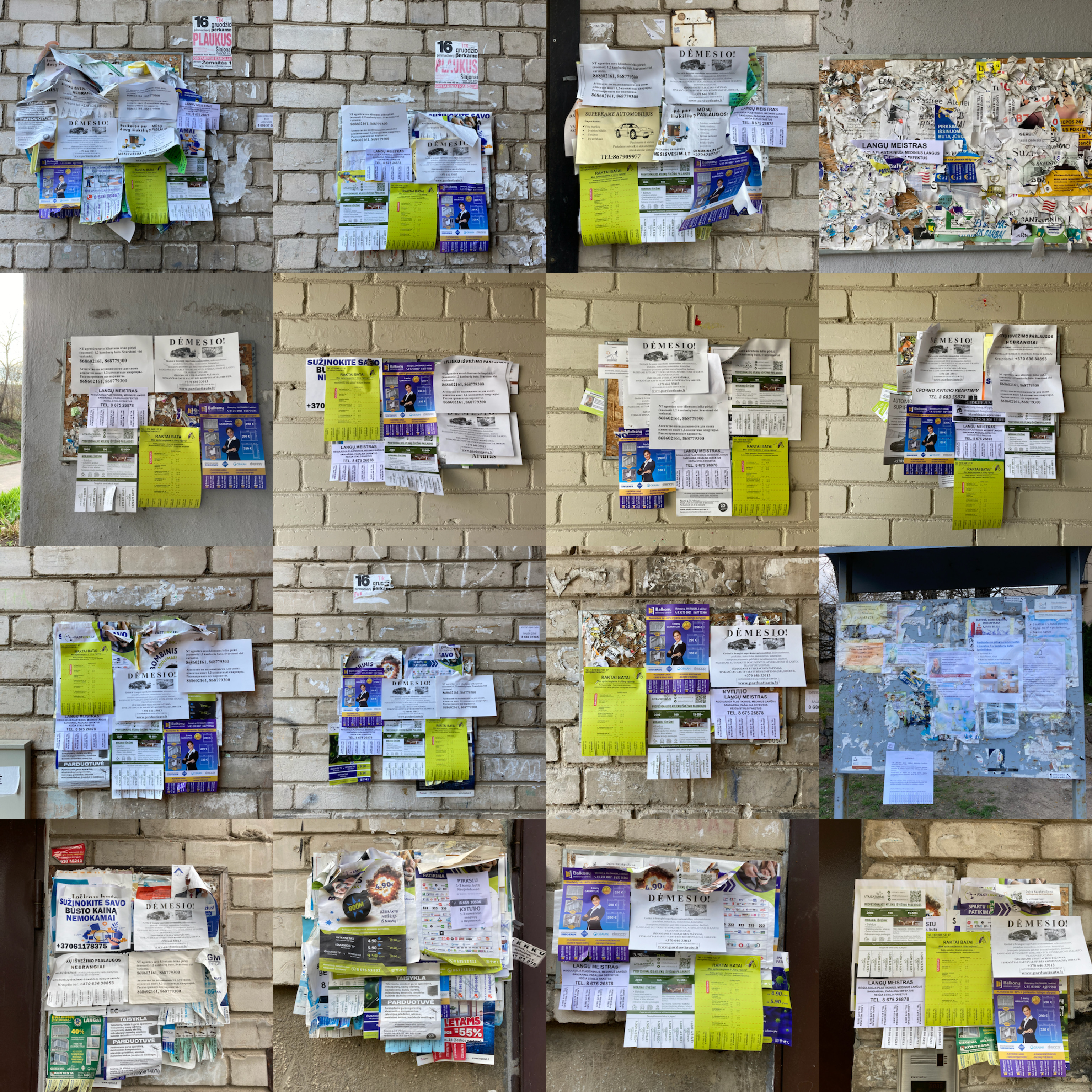 Aistė and Kamilė. Collecting local advertisements. Vilnius