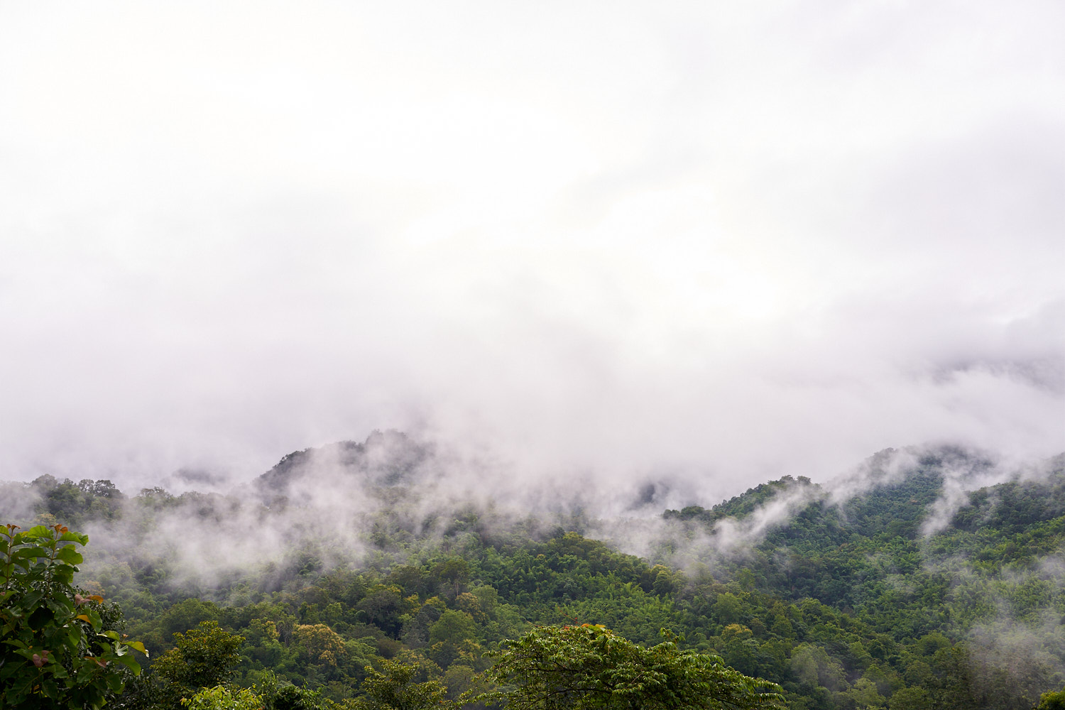 2018 Hao Nam Thailand