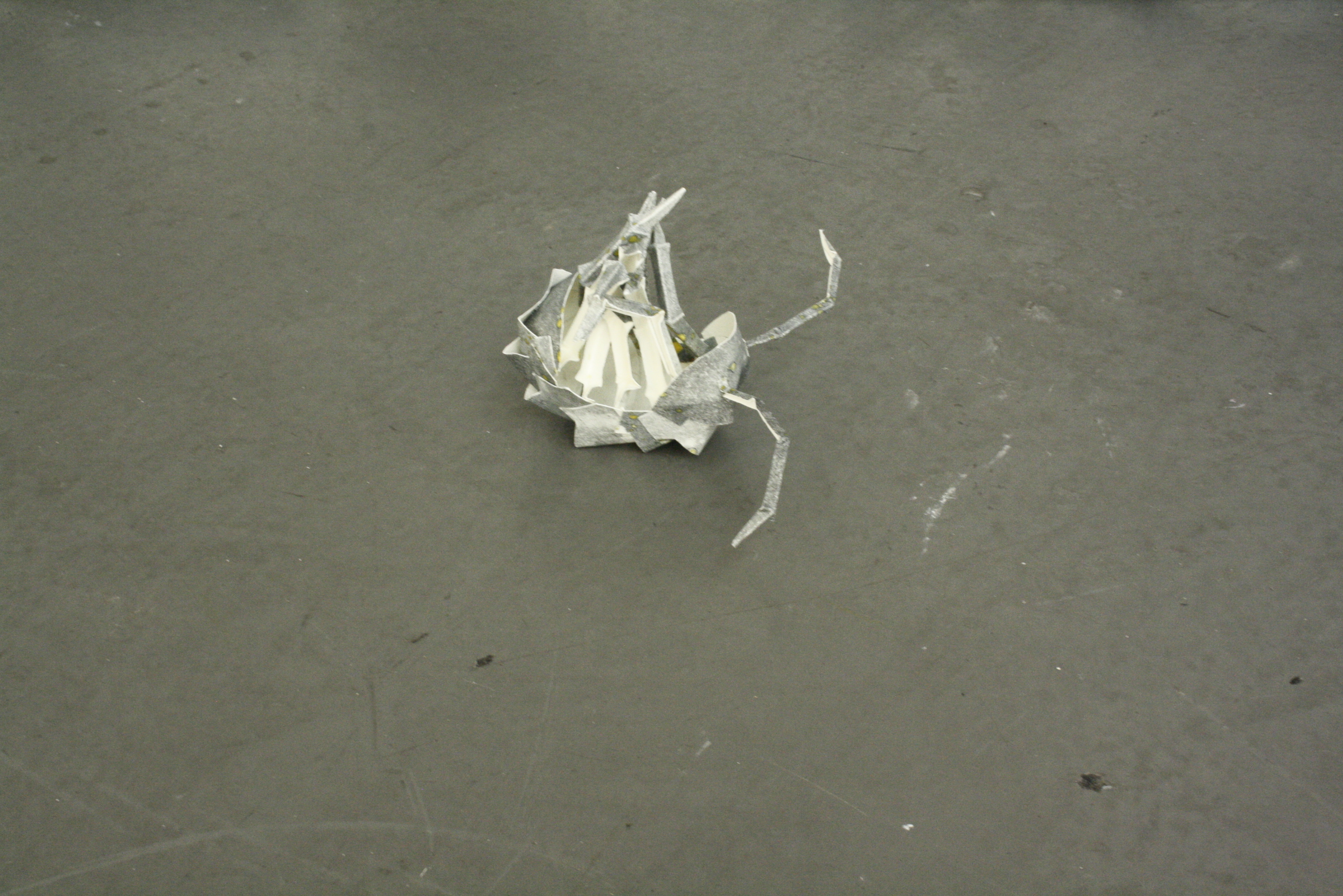 Marijn Dijkmeijer, detail  	