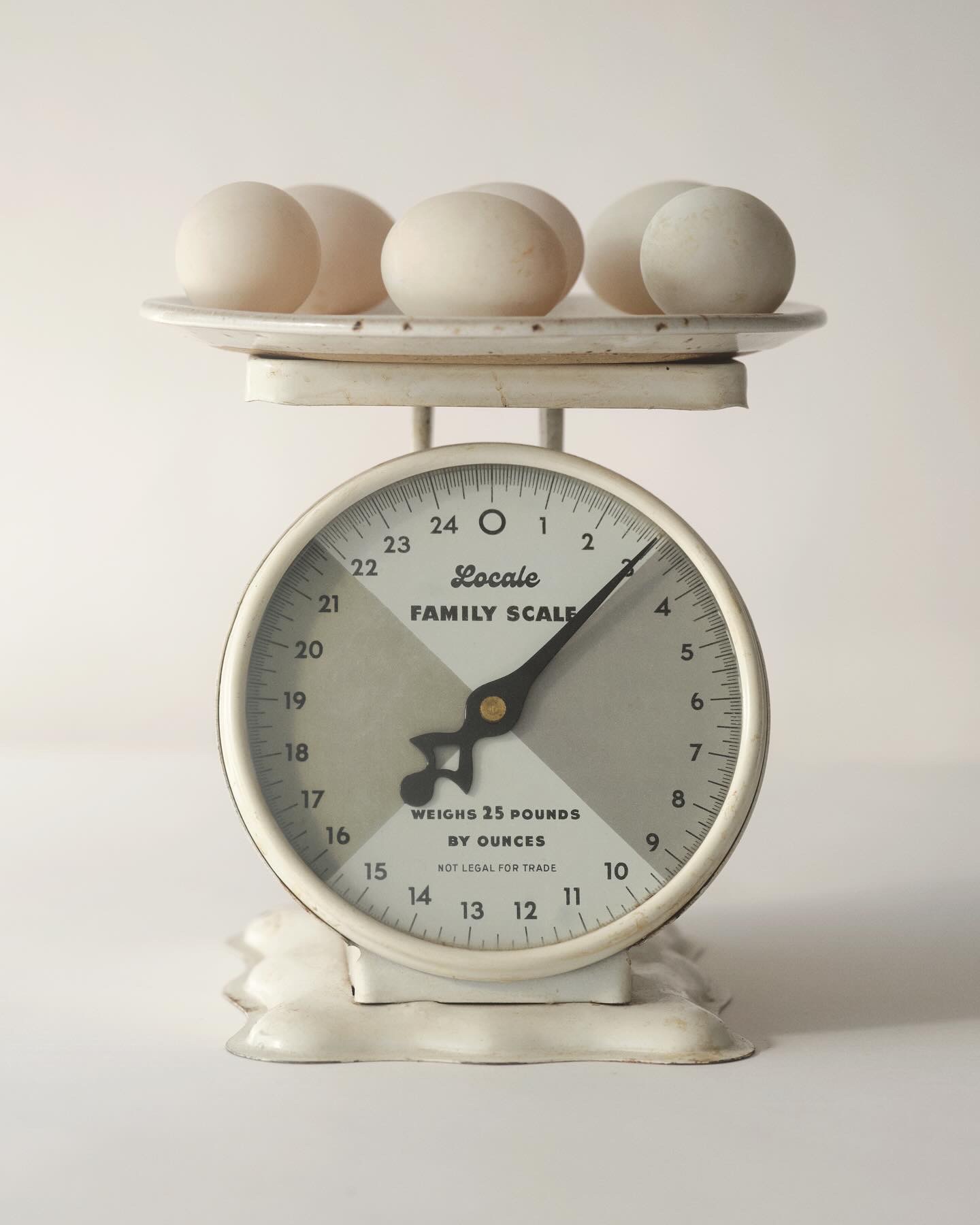 Creative Direction for Locale NYC.