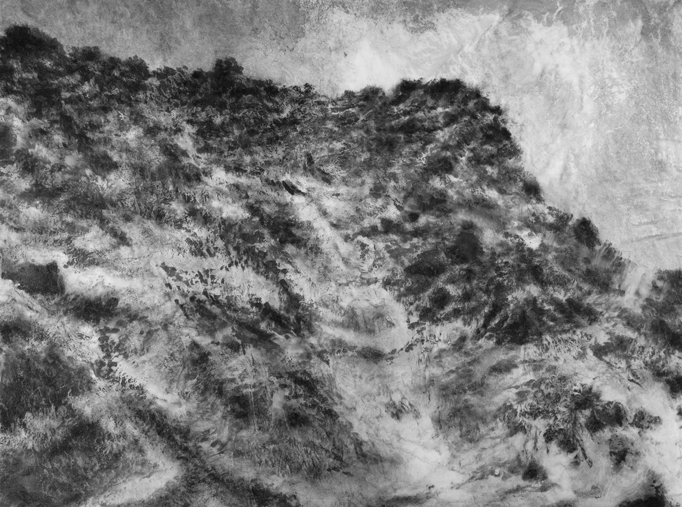 Mont analogue (XV) [Analogous Mount (XV)]Indian ink and methylcellulose on canvas200 x 280 cm, 2024