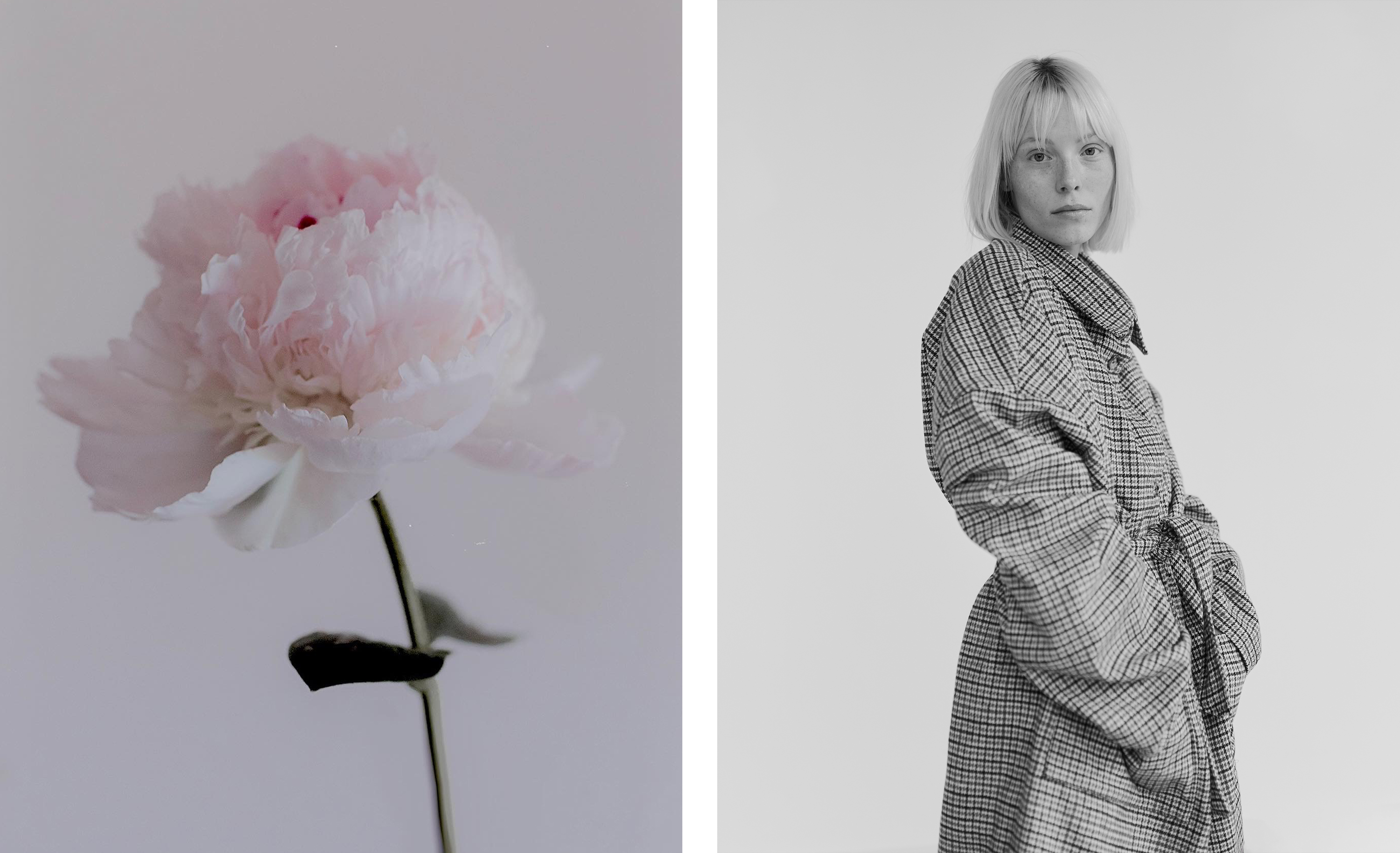 Peony of Peace (2021), Miriam (2021)