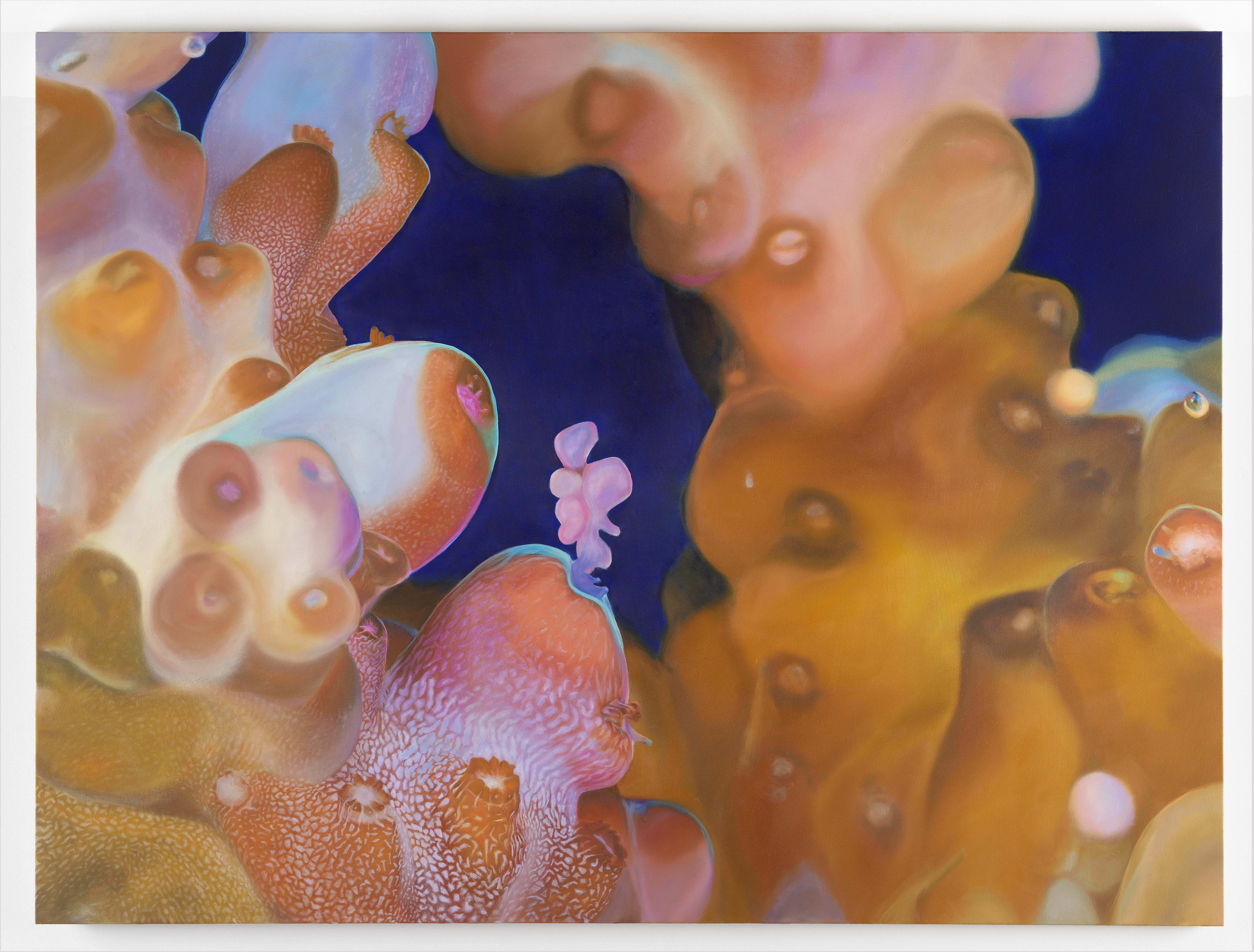 Colostrum, 152x114 cm, oil on calico