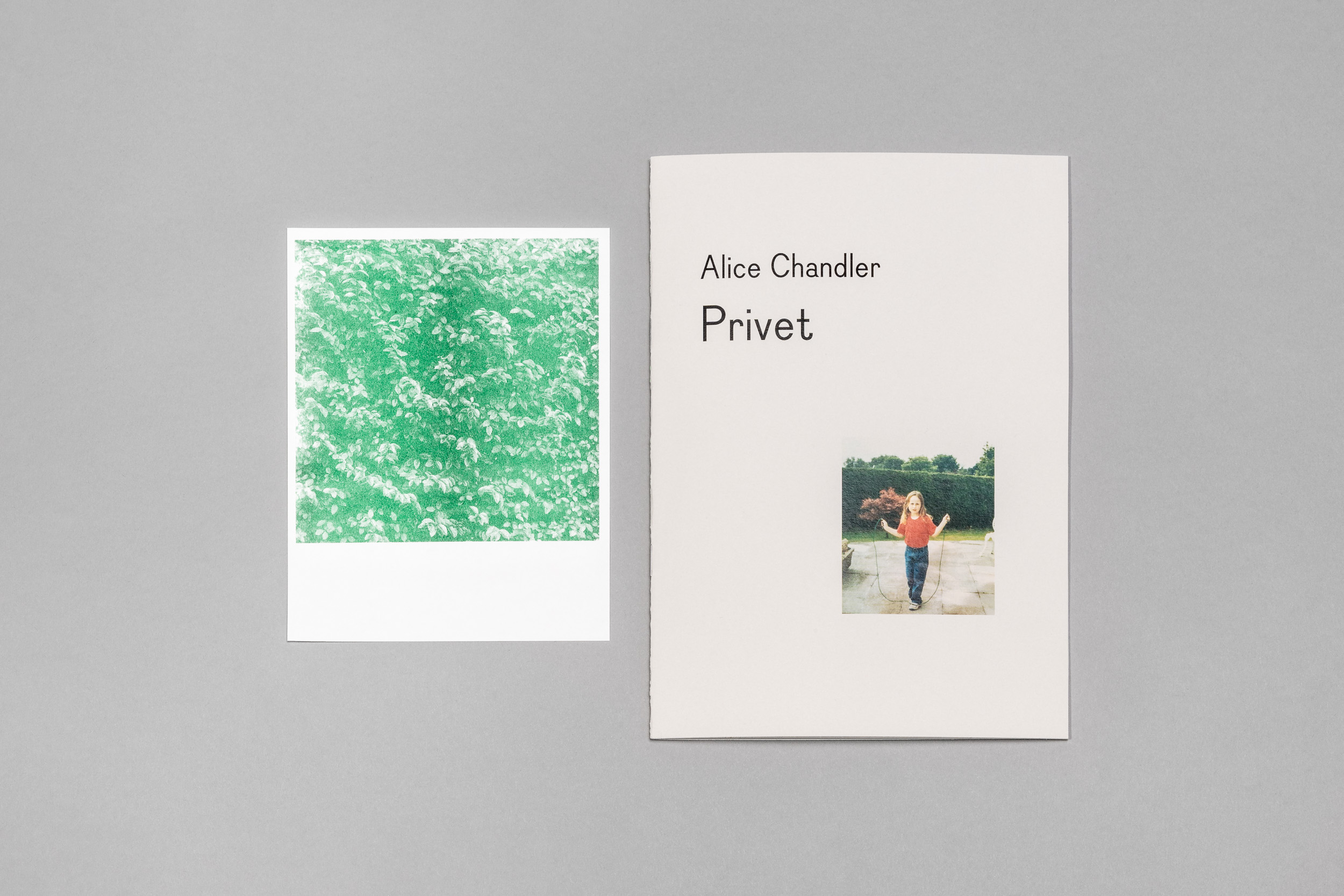 Alice Chandler: Privet Publication