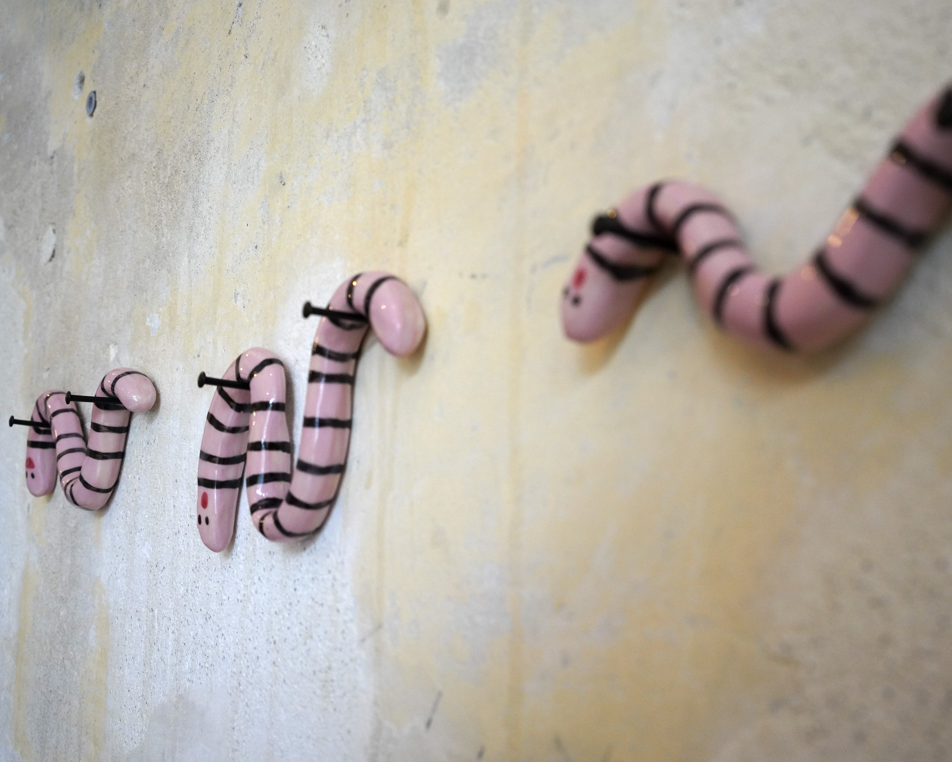 Mensch + Tier + Form + Farbe – Solo Exhibition at JVB Moabit