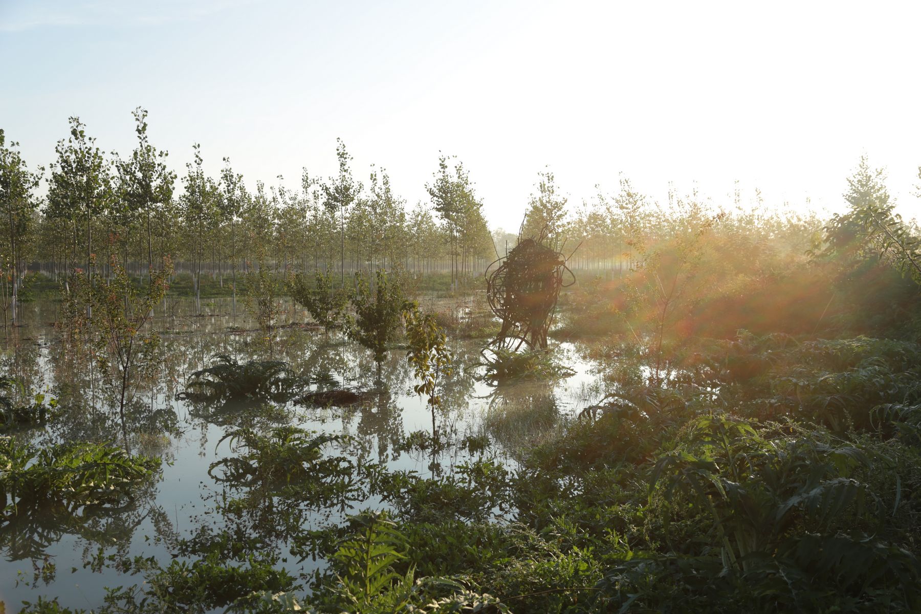 ph: Giovanni Fiamminghi