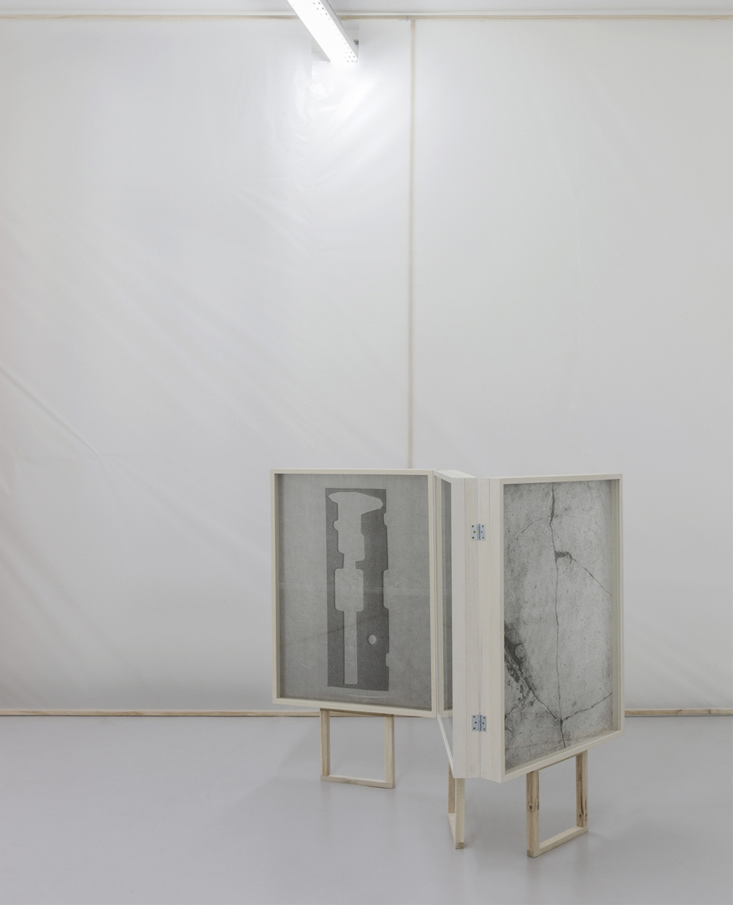 S/T, 2018.Fotografía, inyección de tinta  en papel de conservación.