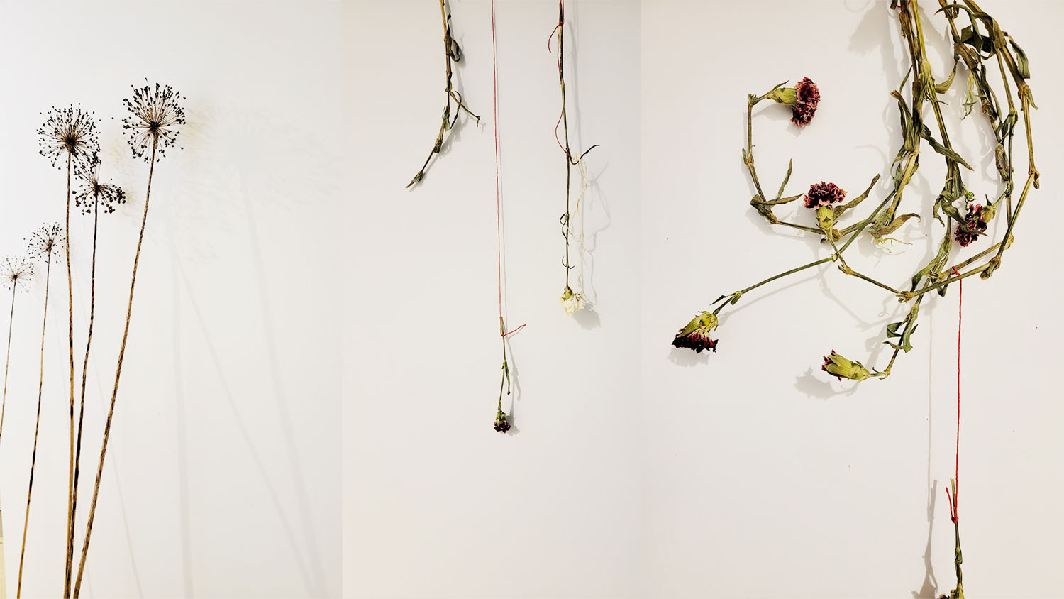 Decoration Shot (Digital vs. Physical Nature)