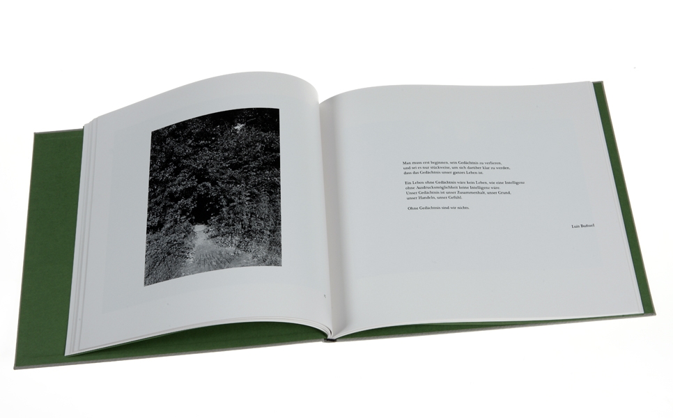 Waldbilder 2003-2010, self published artist book, 26,5x30,3cm