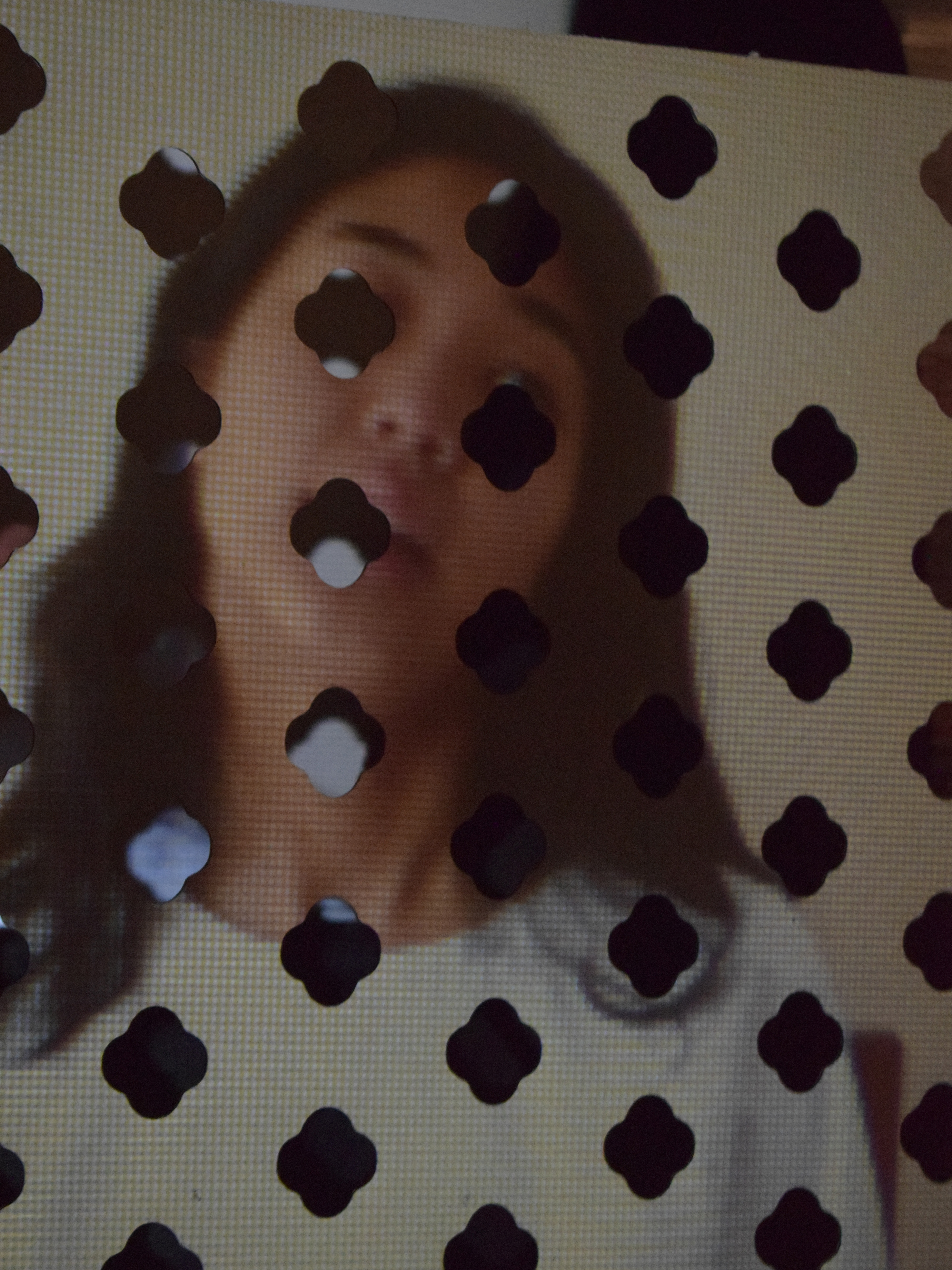 Cardboard