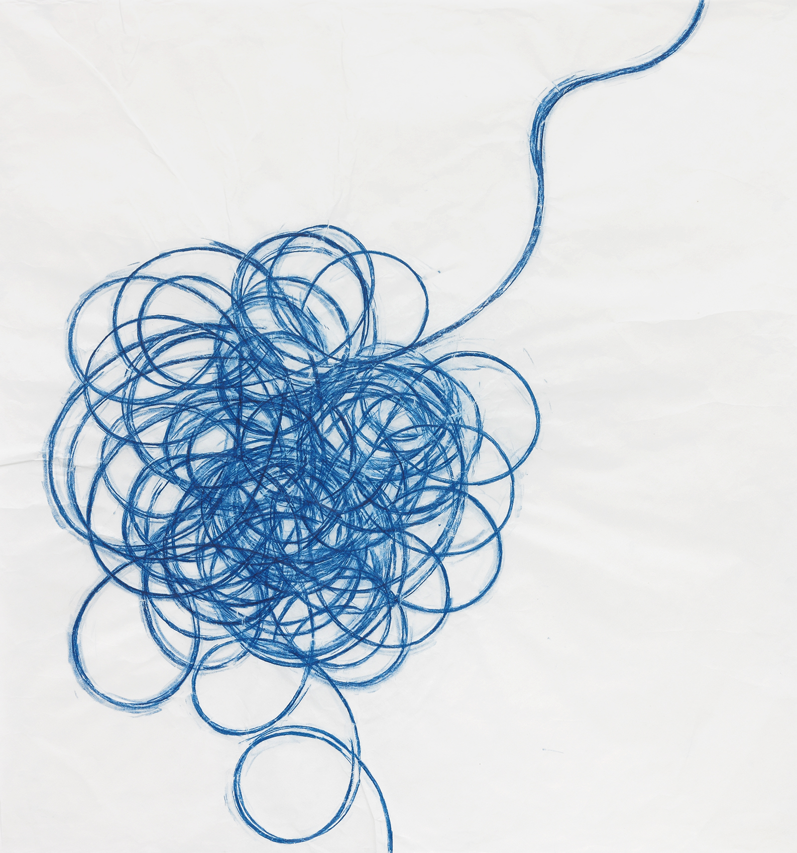 Vacuum Cleaner Cord, 2015. Frottage, 34 1/2 x 37 inches
