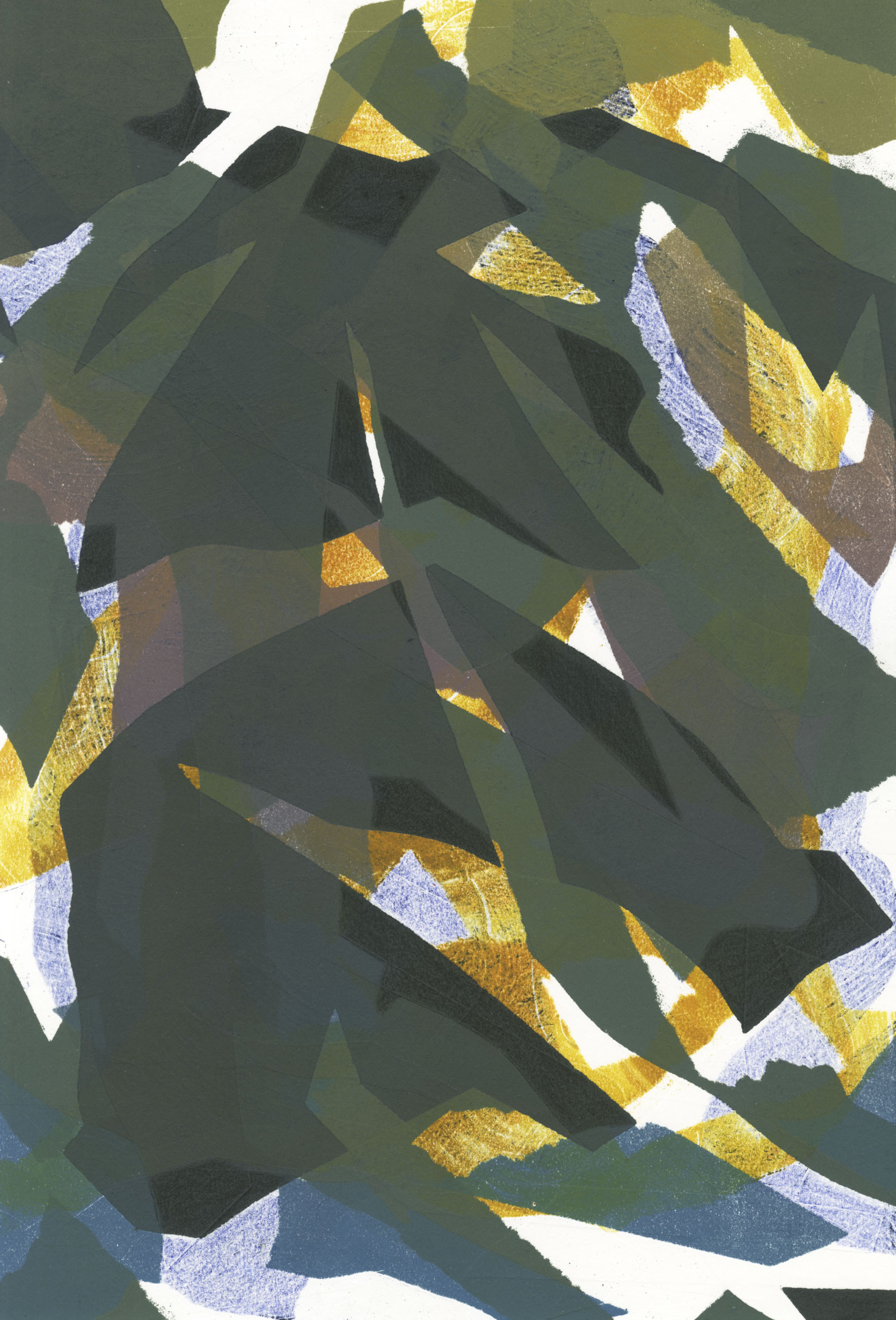 Floating Foliage, 2018, monoprint with embossment and colored pencil on paper, 15 × 10".