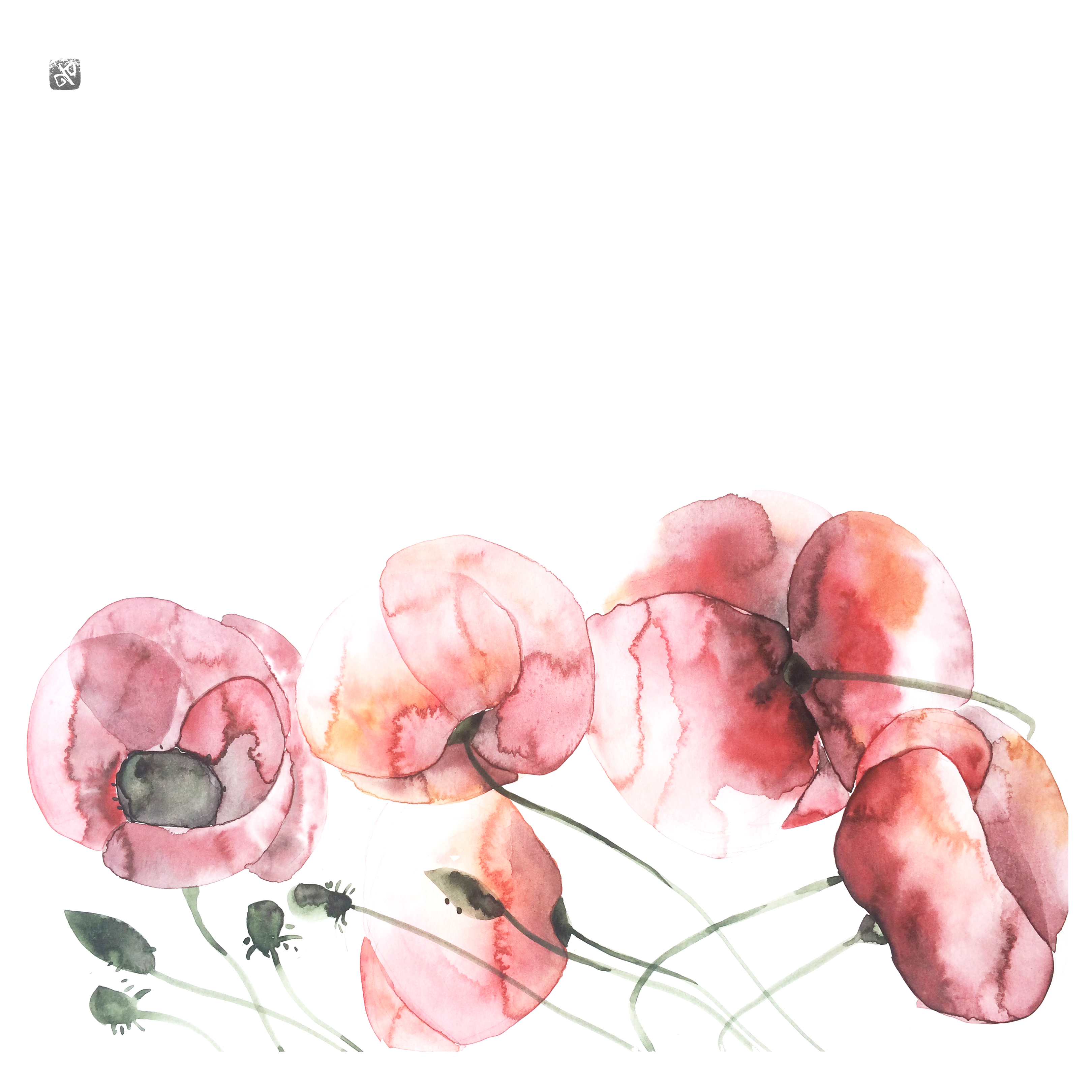 poppies